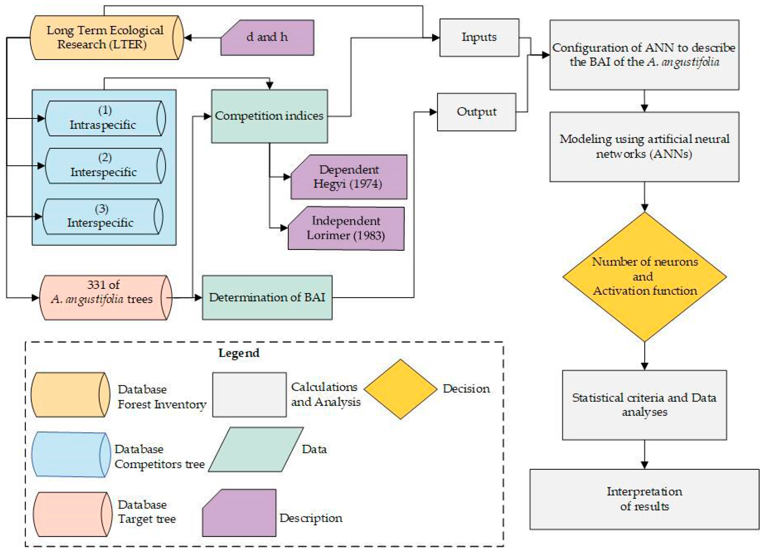 Forests 13 01108 g002
