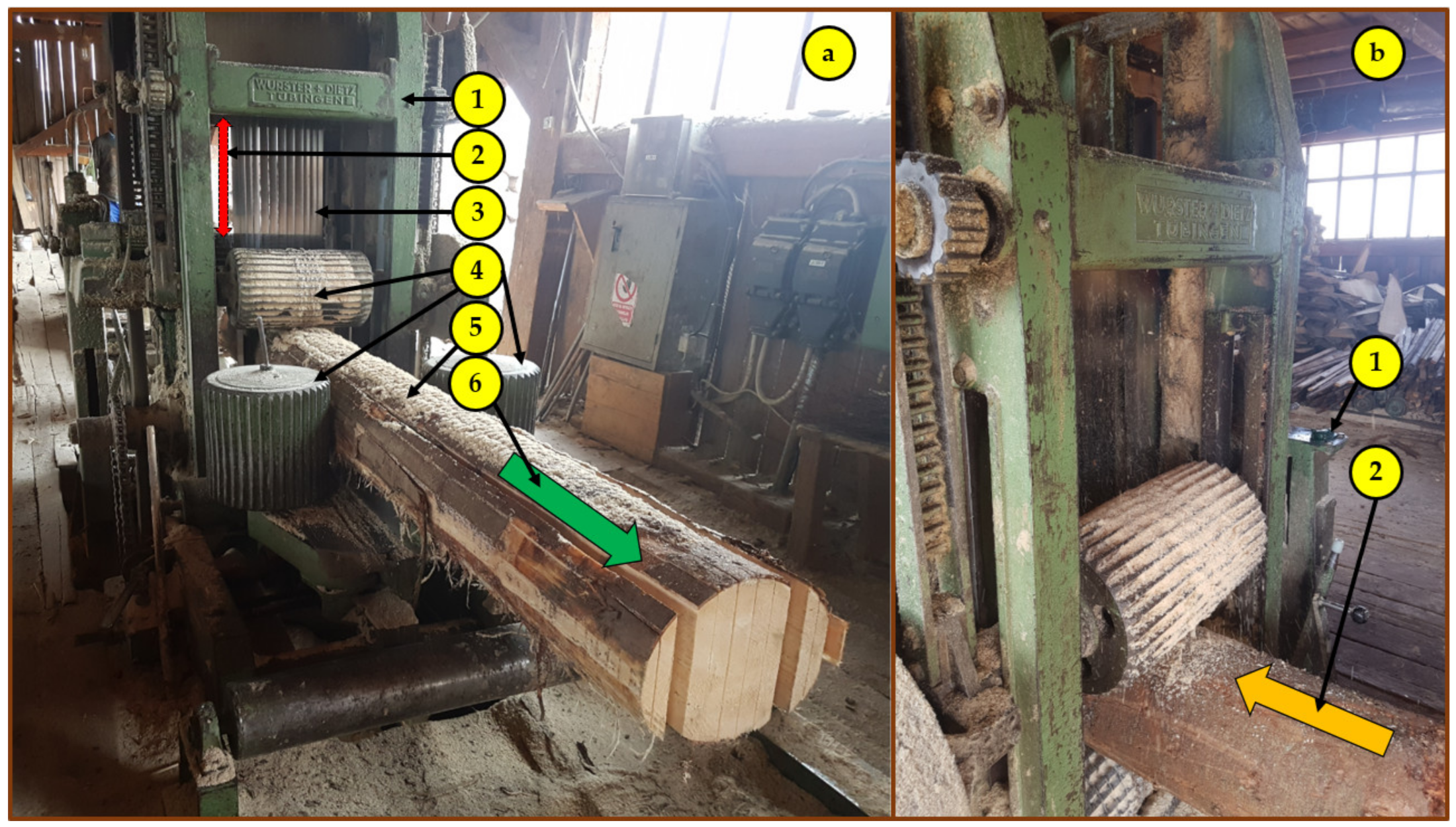 Forests 13 01115 g001