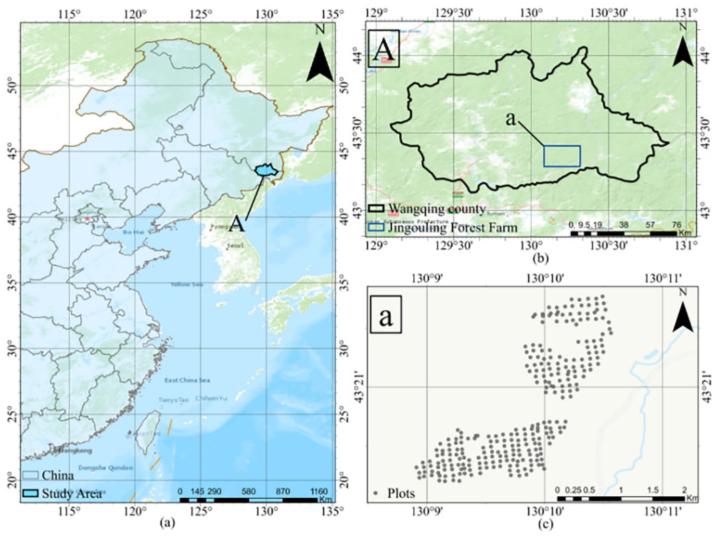 Forests 13 01117 g001