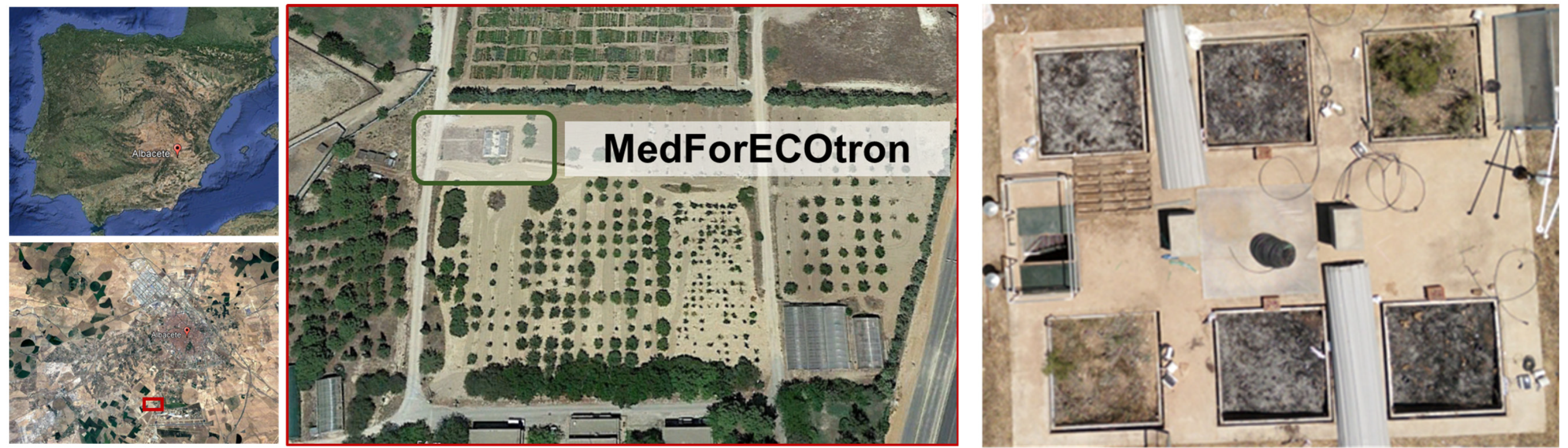 Forests 13 01118 g001