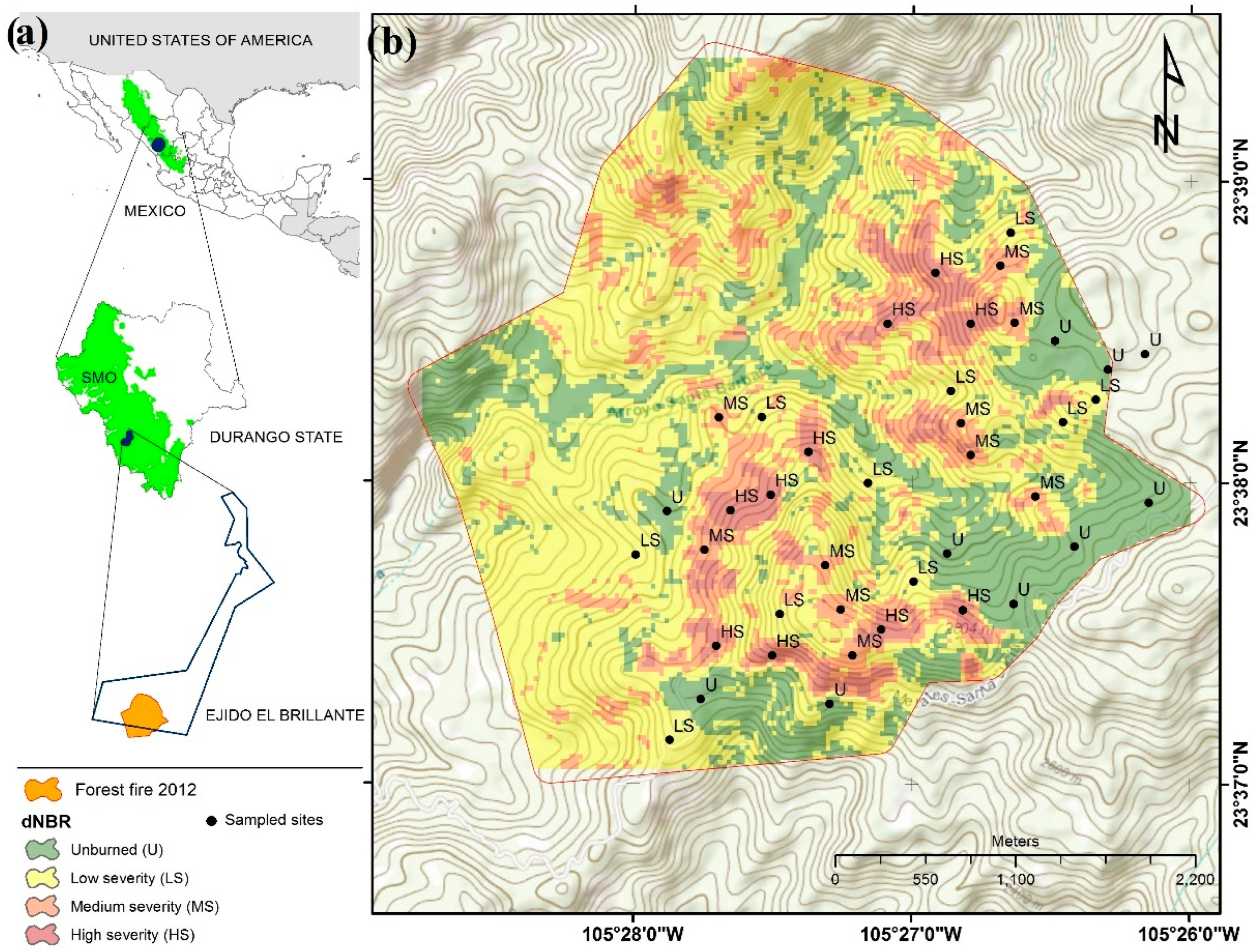 Forests 13 01121 g001