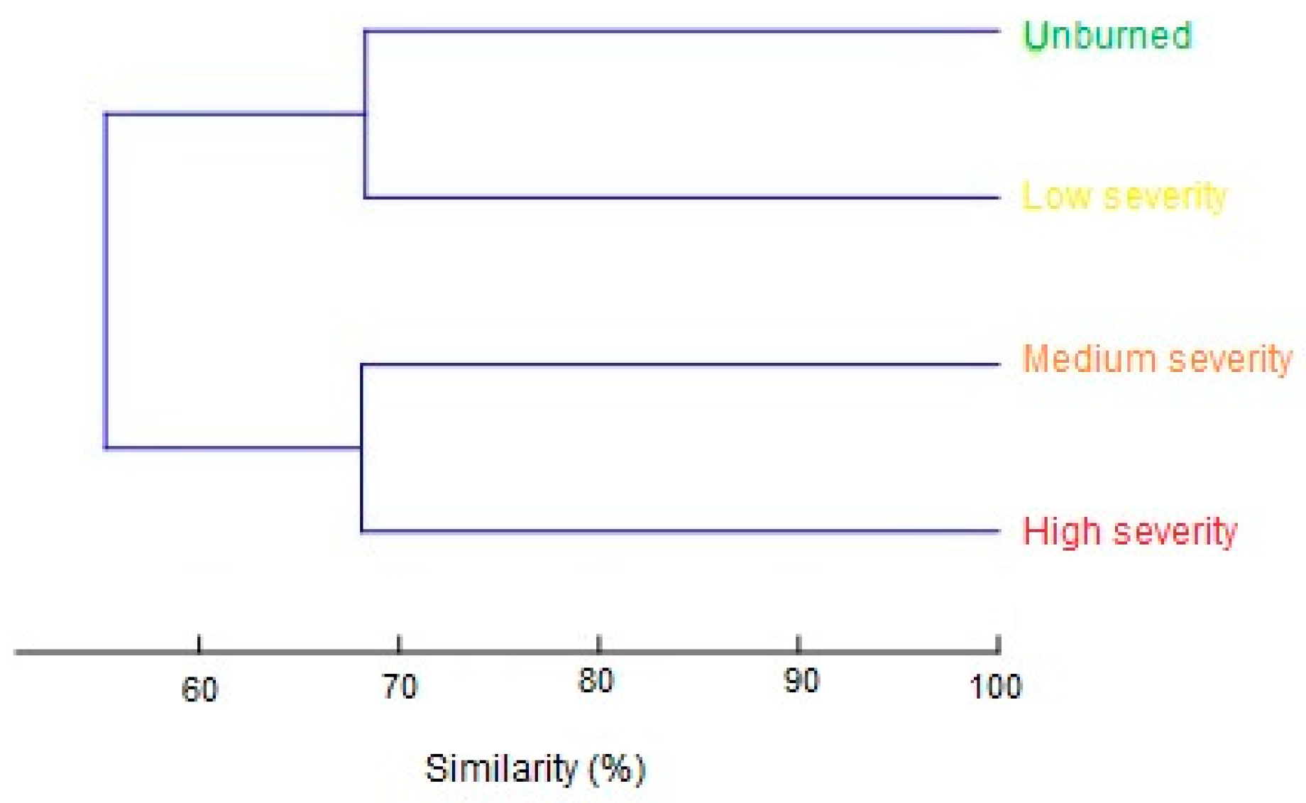 Forests 13 01121 g003