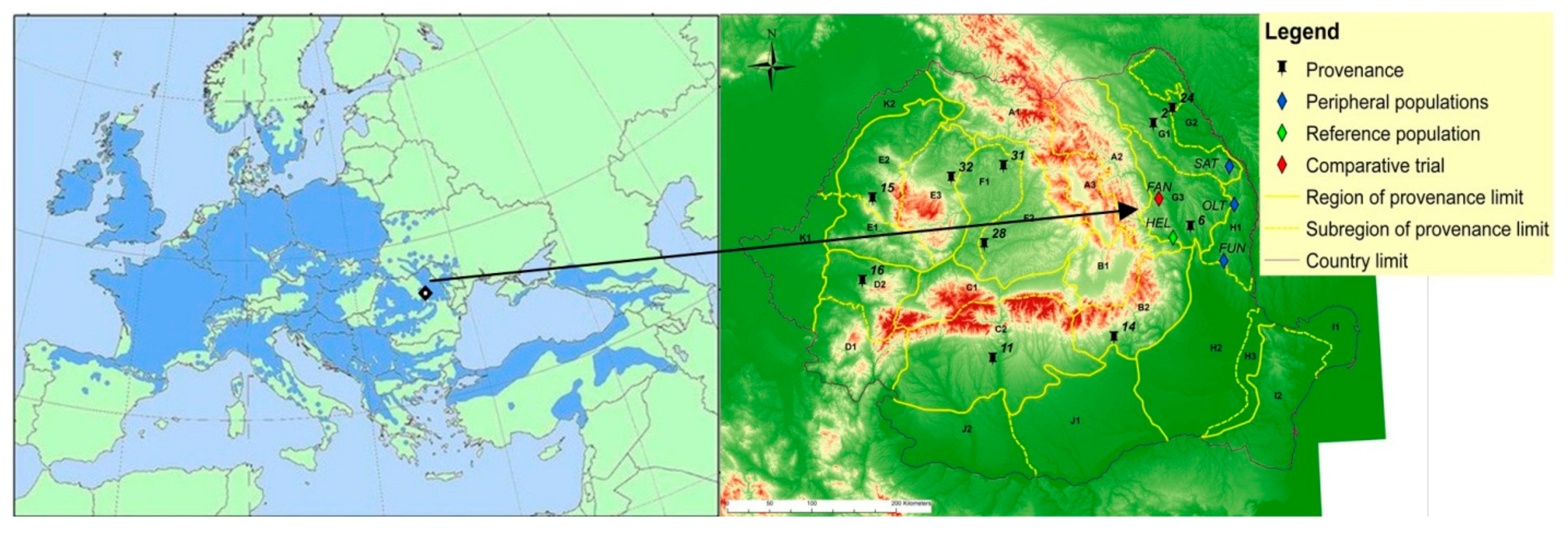 Forests 13 01125 g001