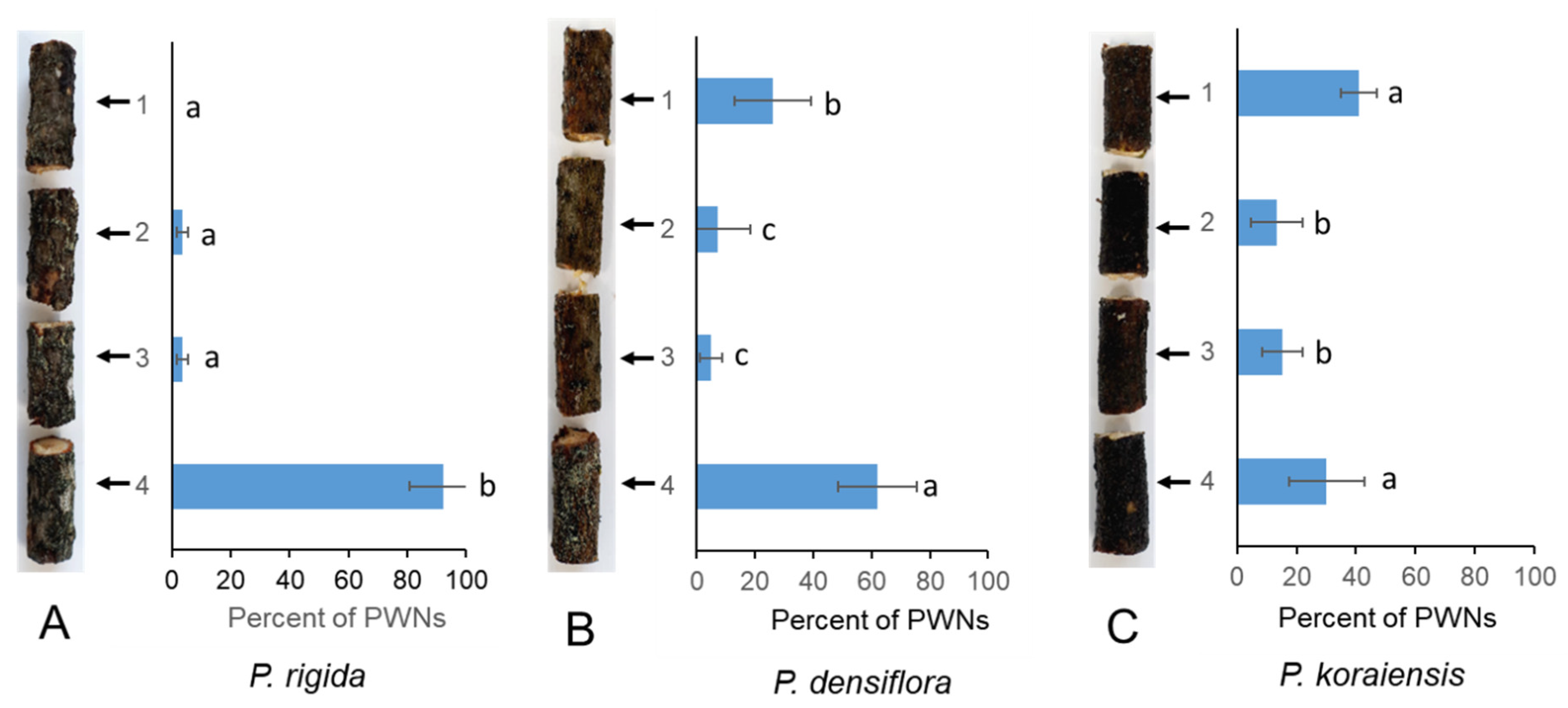 Forests 13 01131 g001