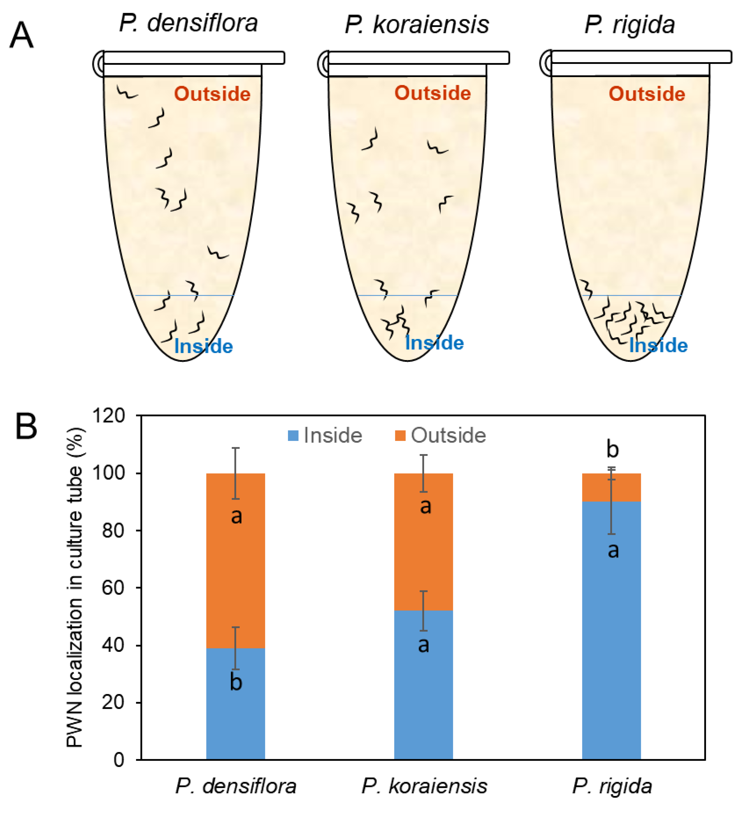 Forests 13 01131 g002