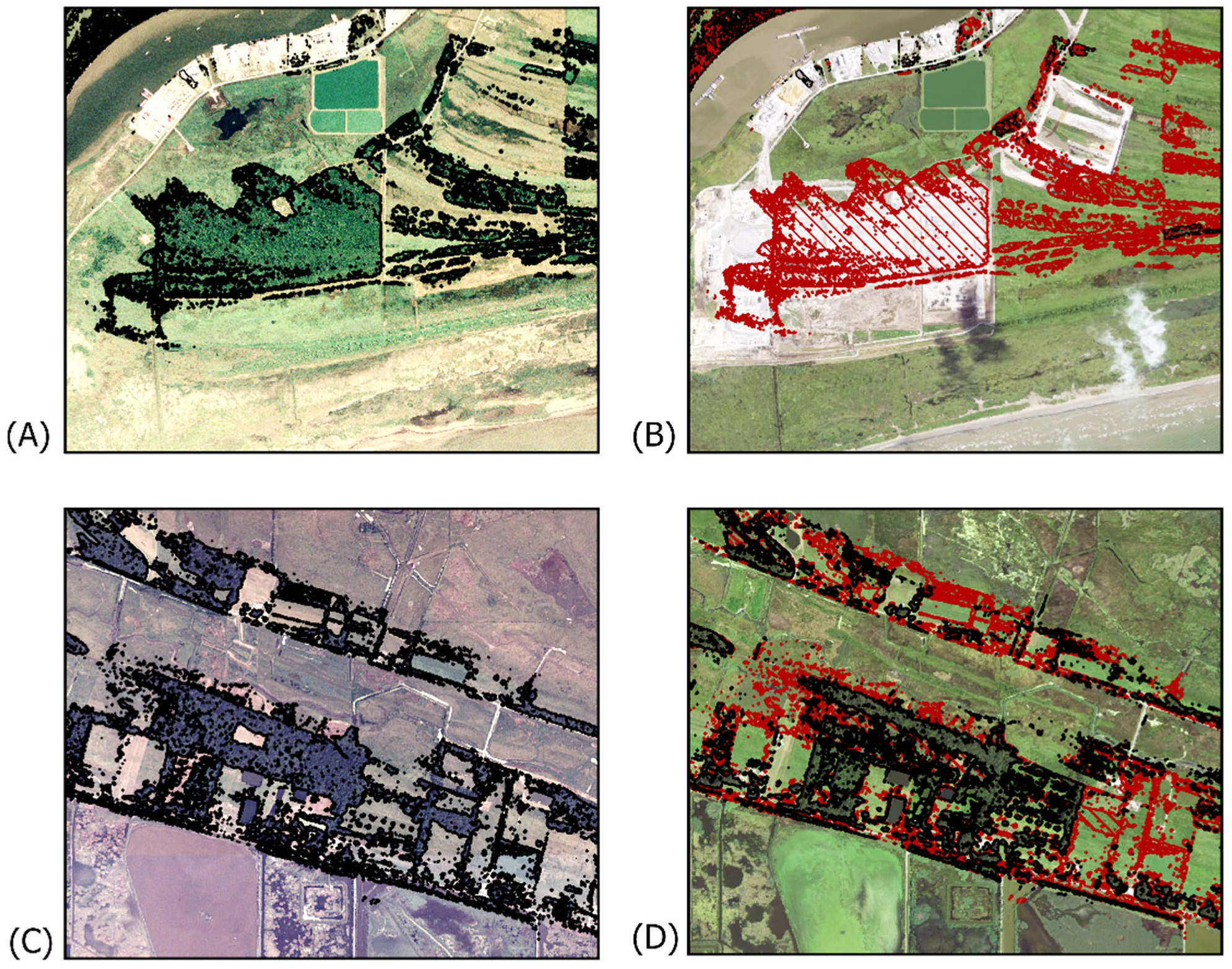 Forests 13 01132 g008