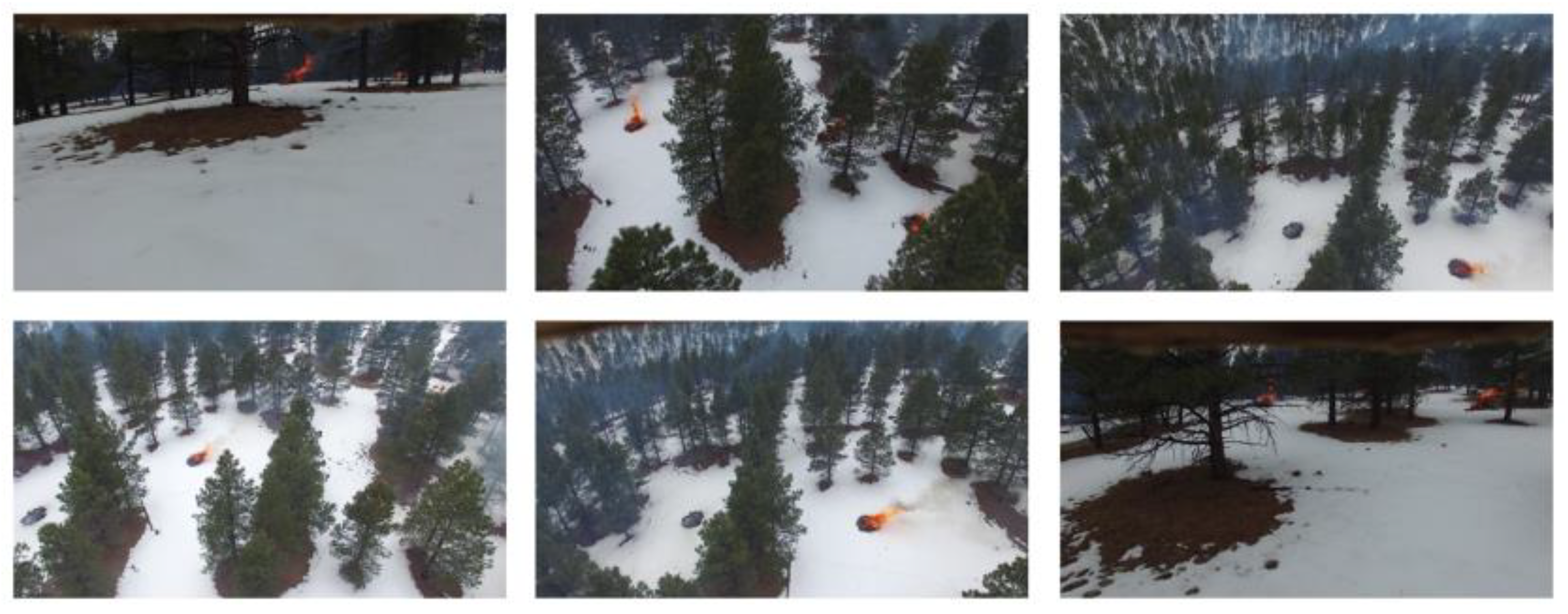 Forests 13 01133 g002