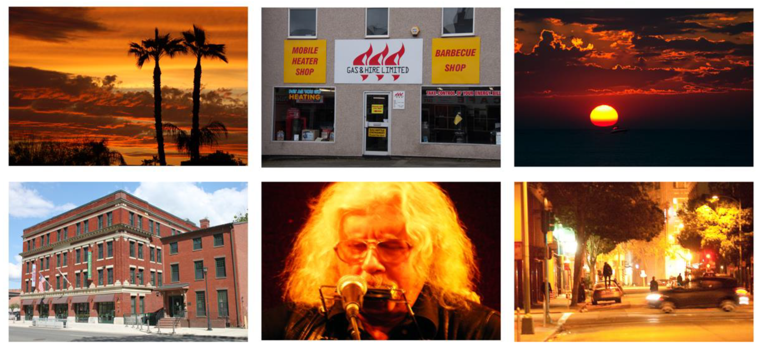 Forests 13 01133 g003