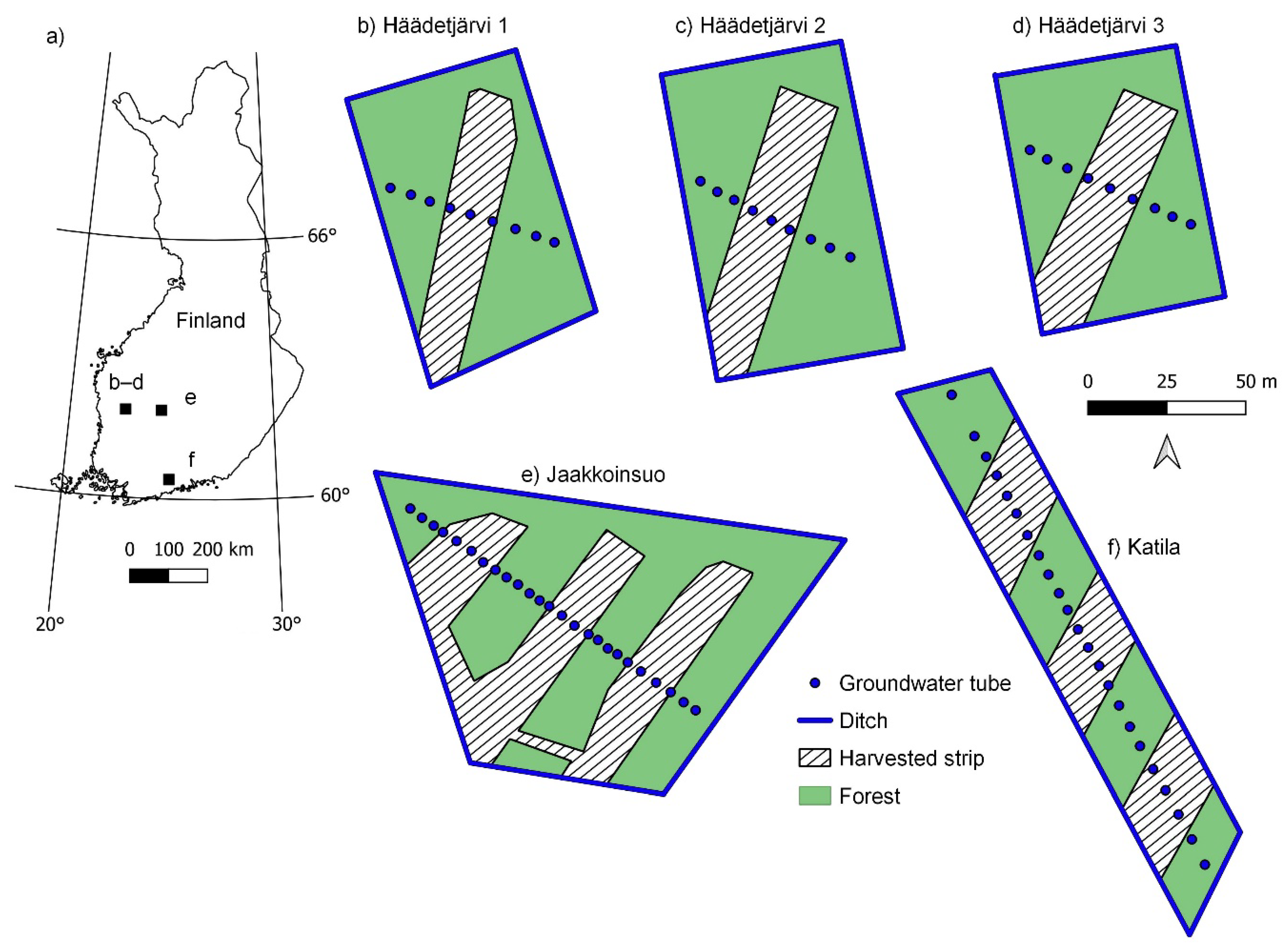 Forests 13 01134 g001