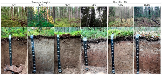 Forests 13 01135 g0a1