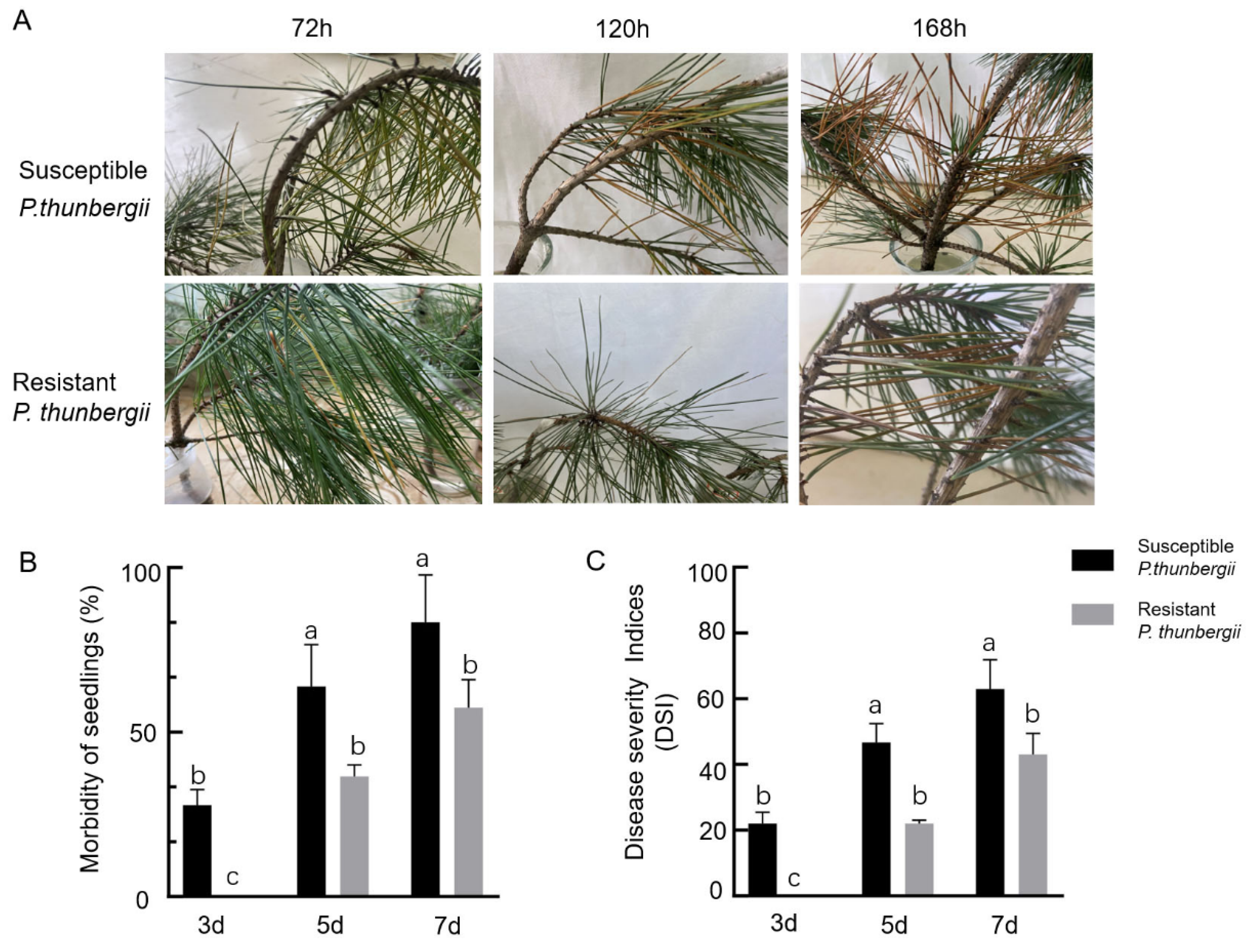Forests 13 01140 g001