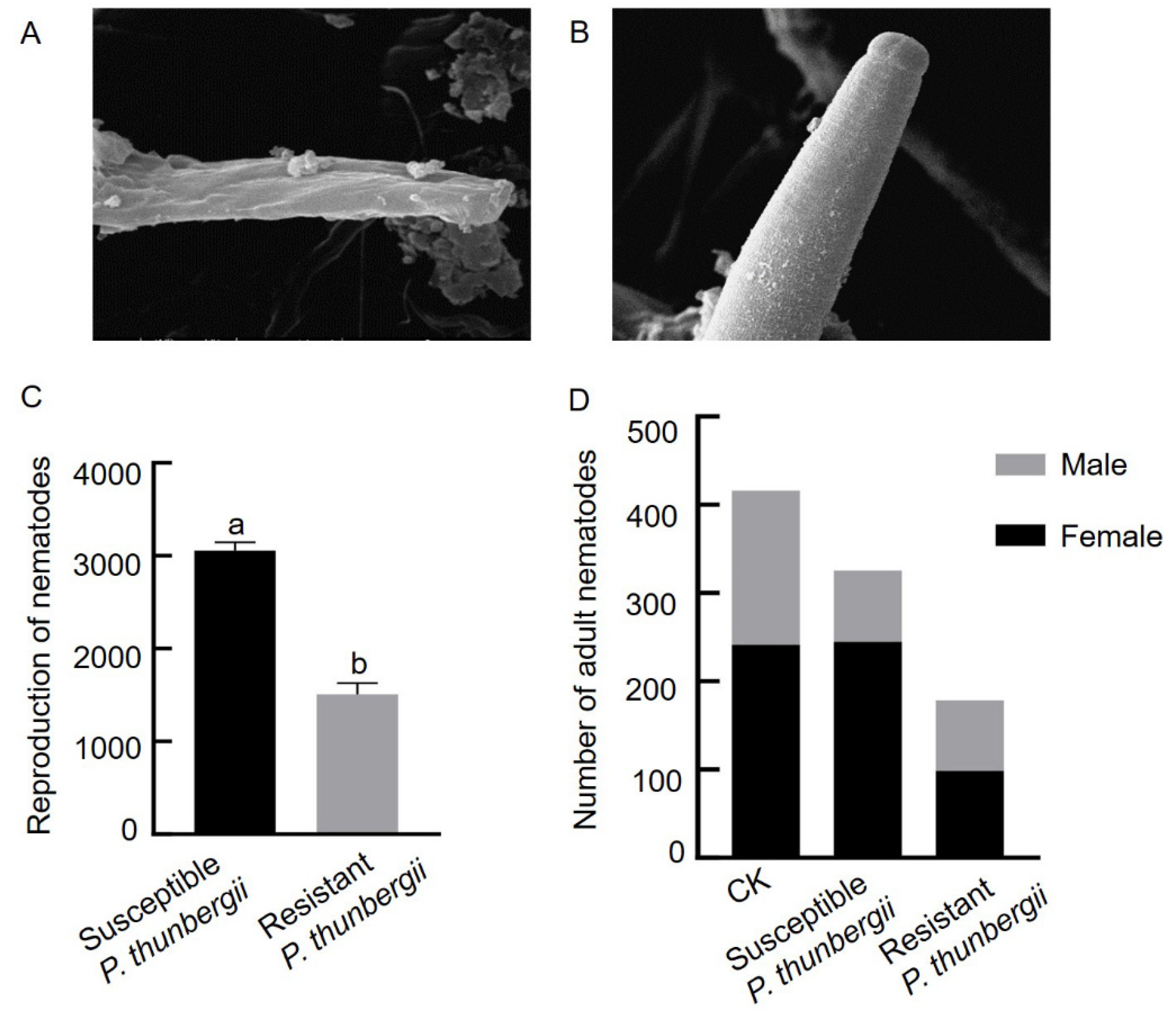 Forests 13 01140 g002