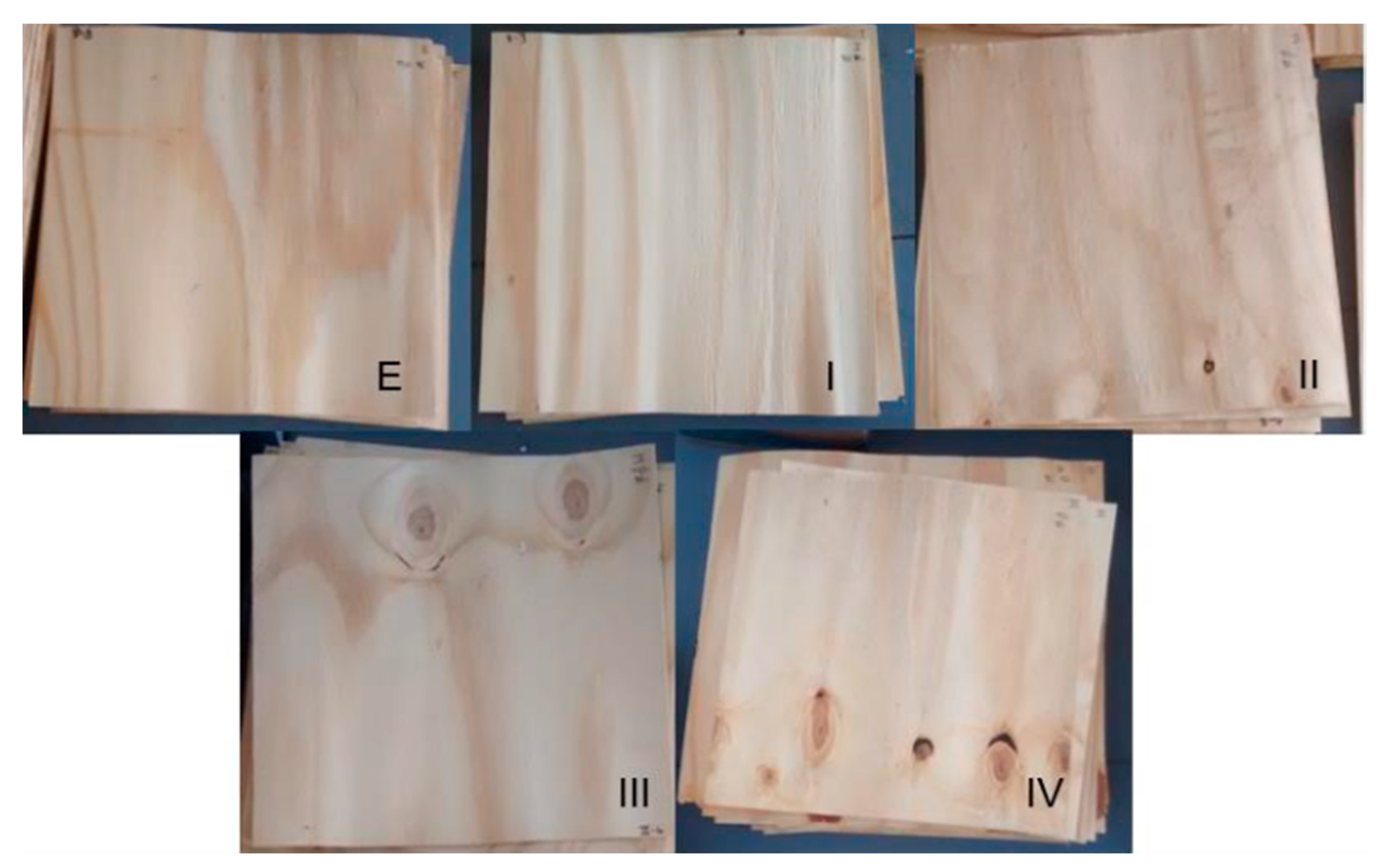 Forests 13 01144 g001