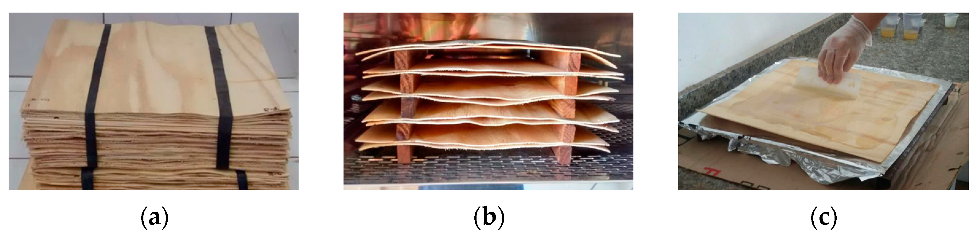 Forests 13 01144 g002