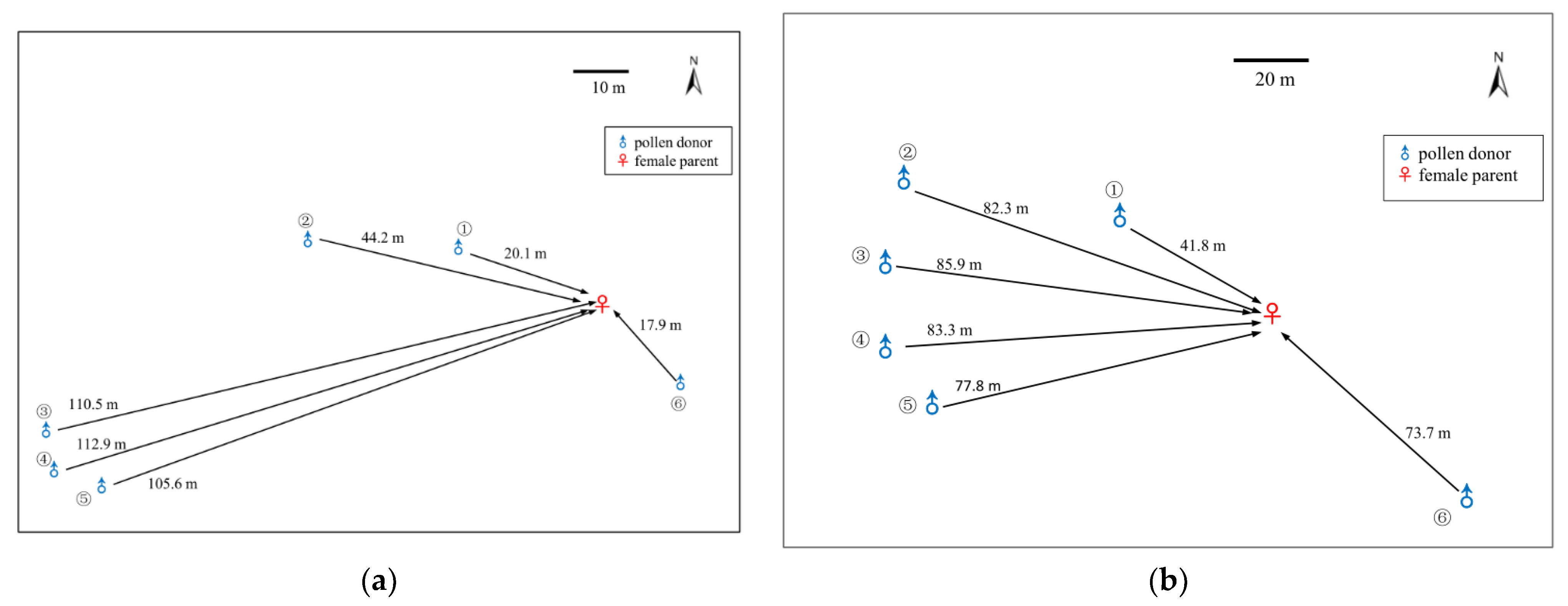 Forests 13 01152 g002