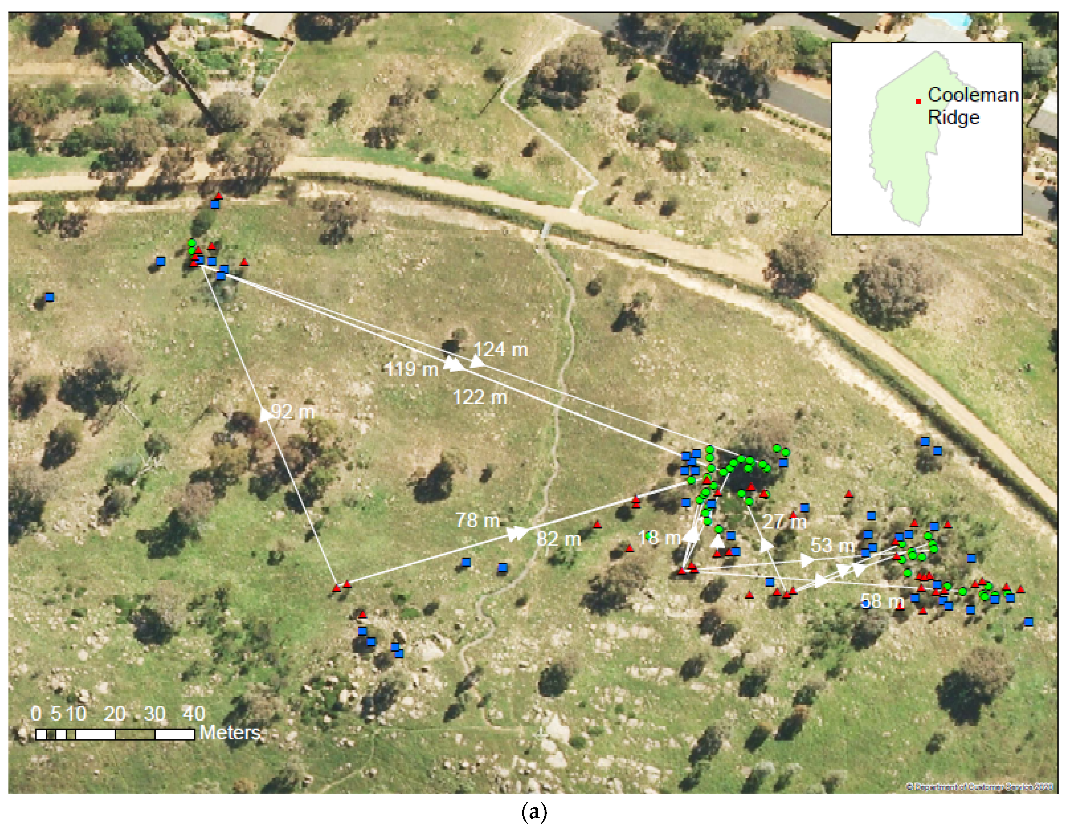 Forests 13 01152 g003a