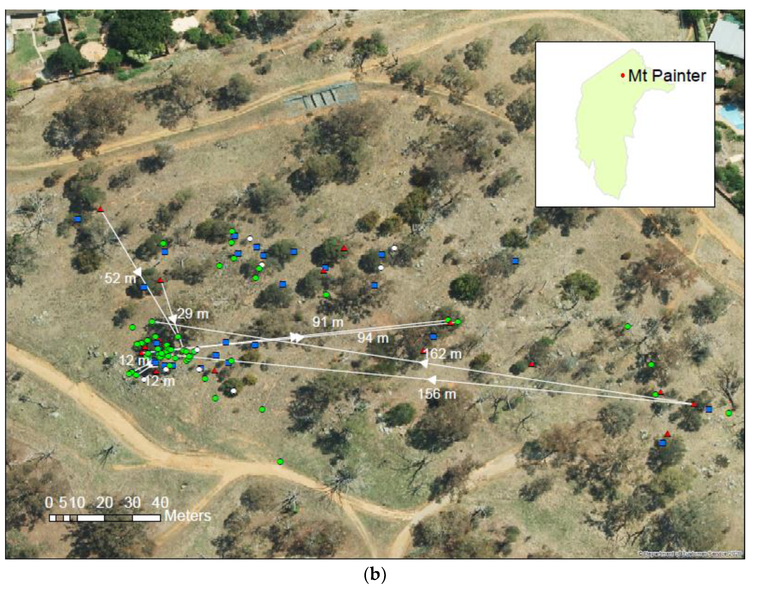 Forests 13 01152 g003b