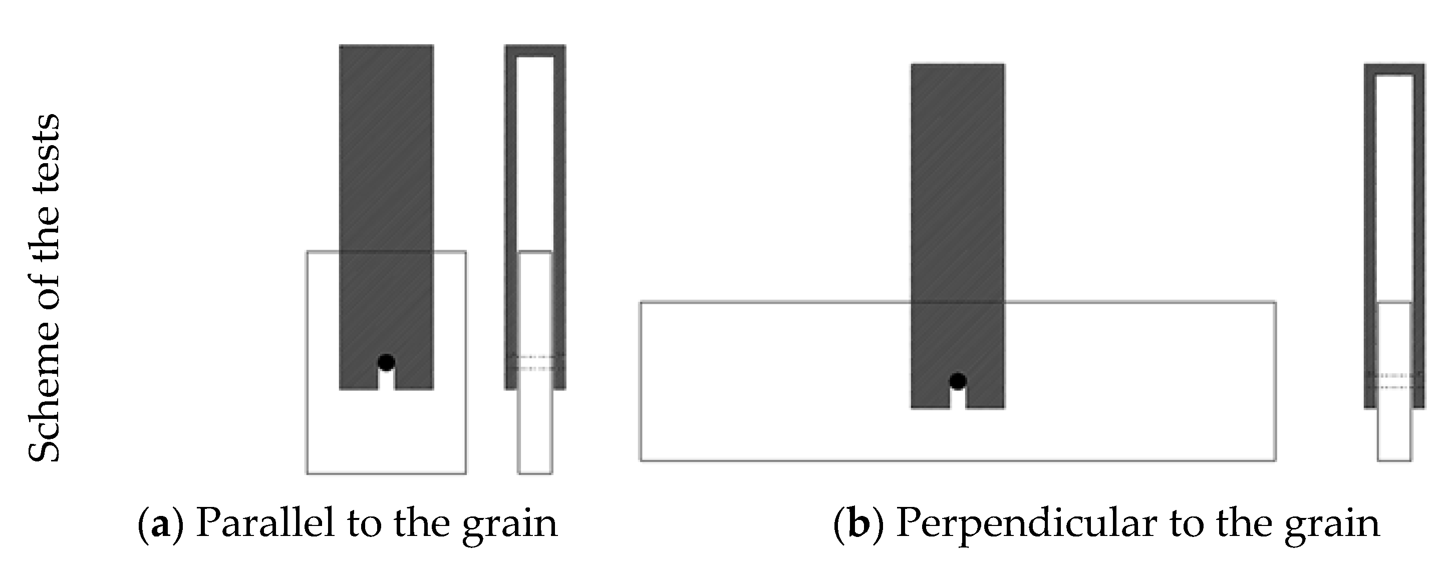 Forests 13 01154 g001