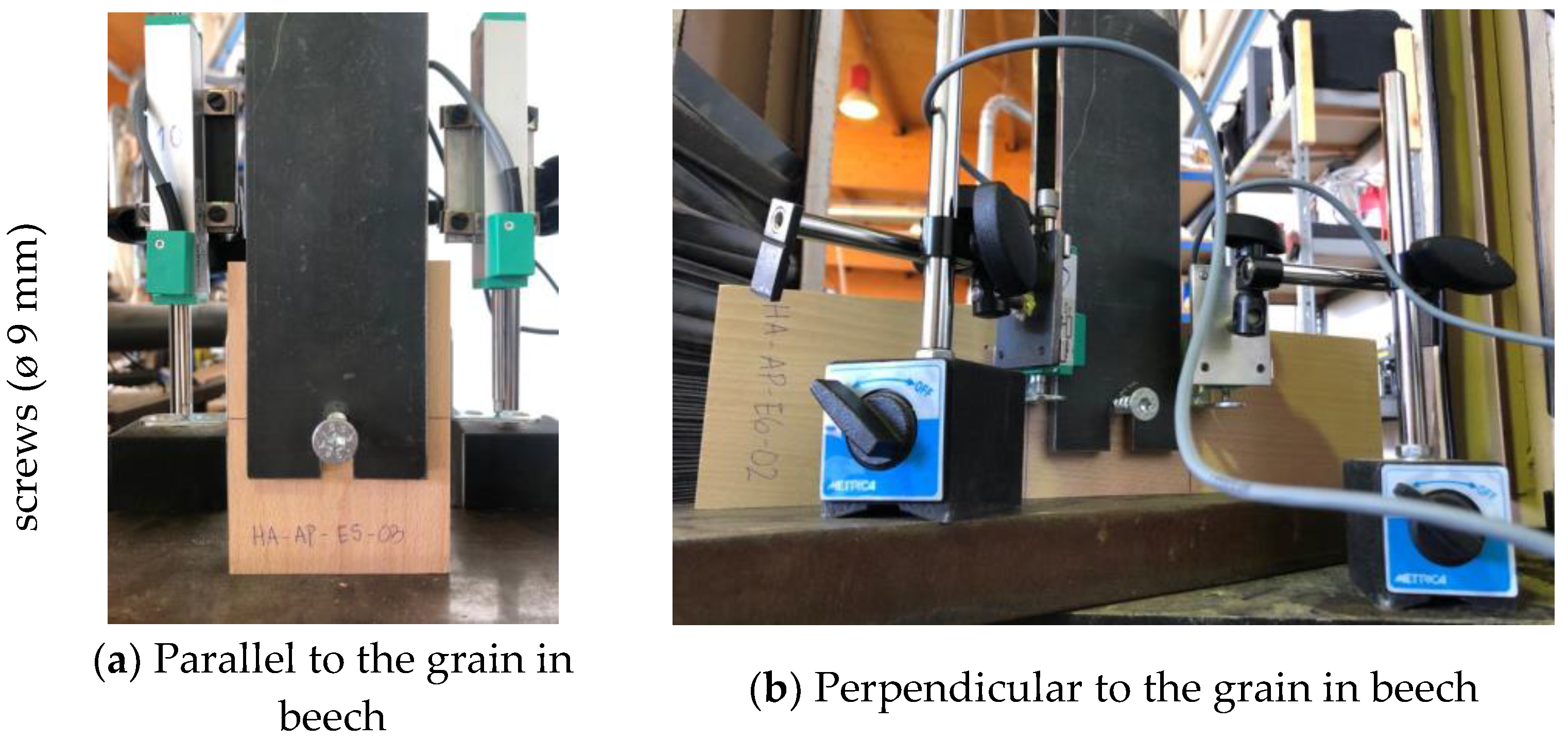 Forests 13 01154 g002