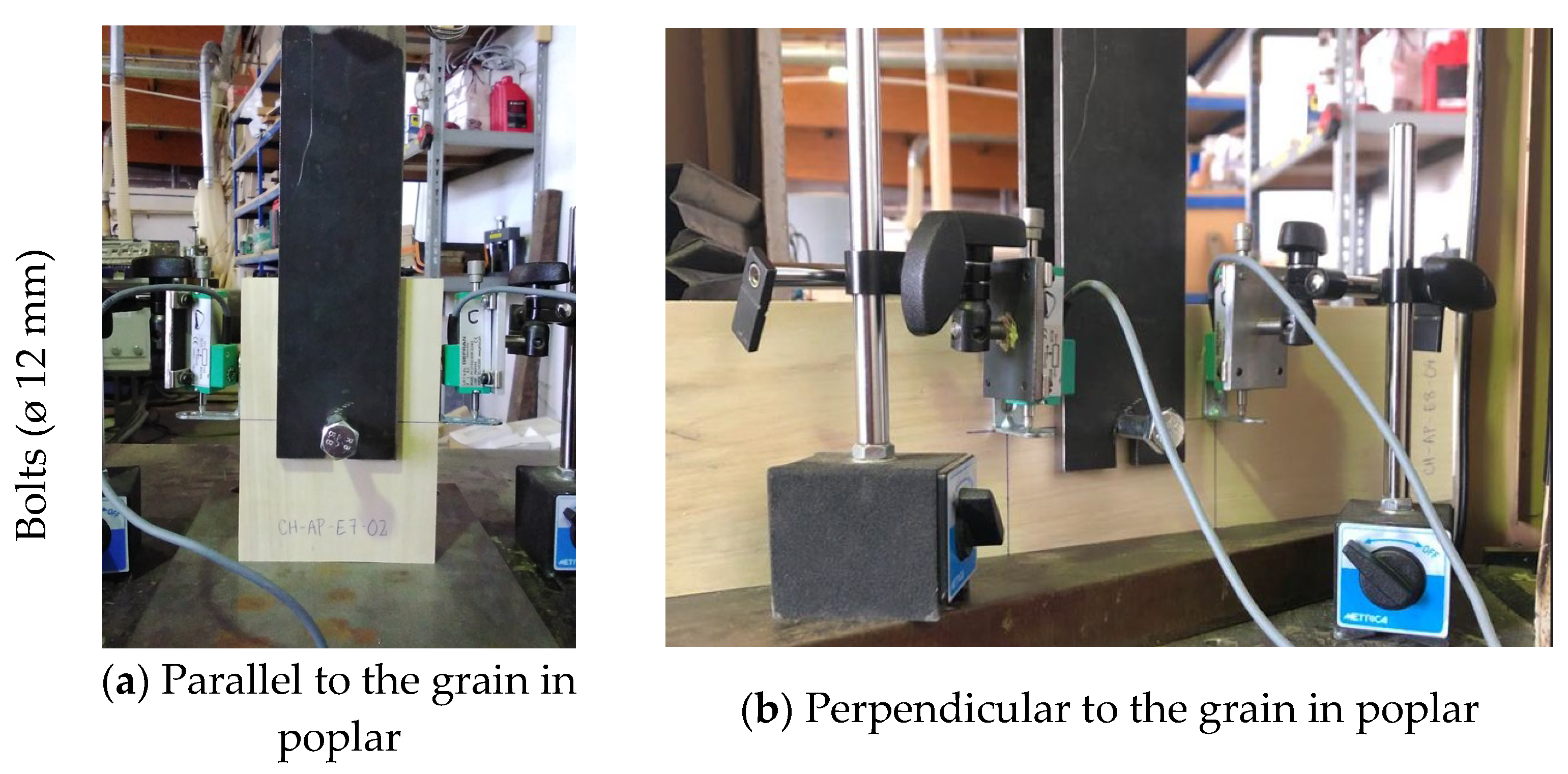 Forests 13 01154 g003