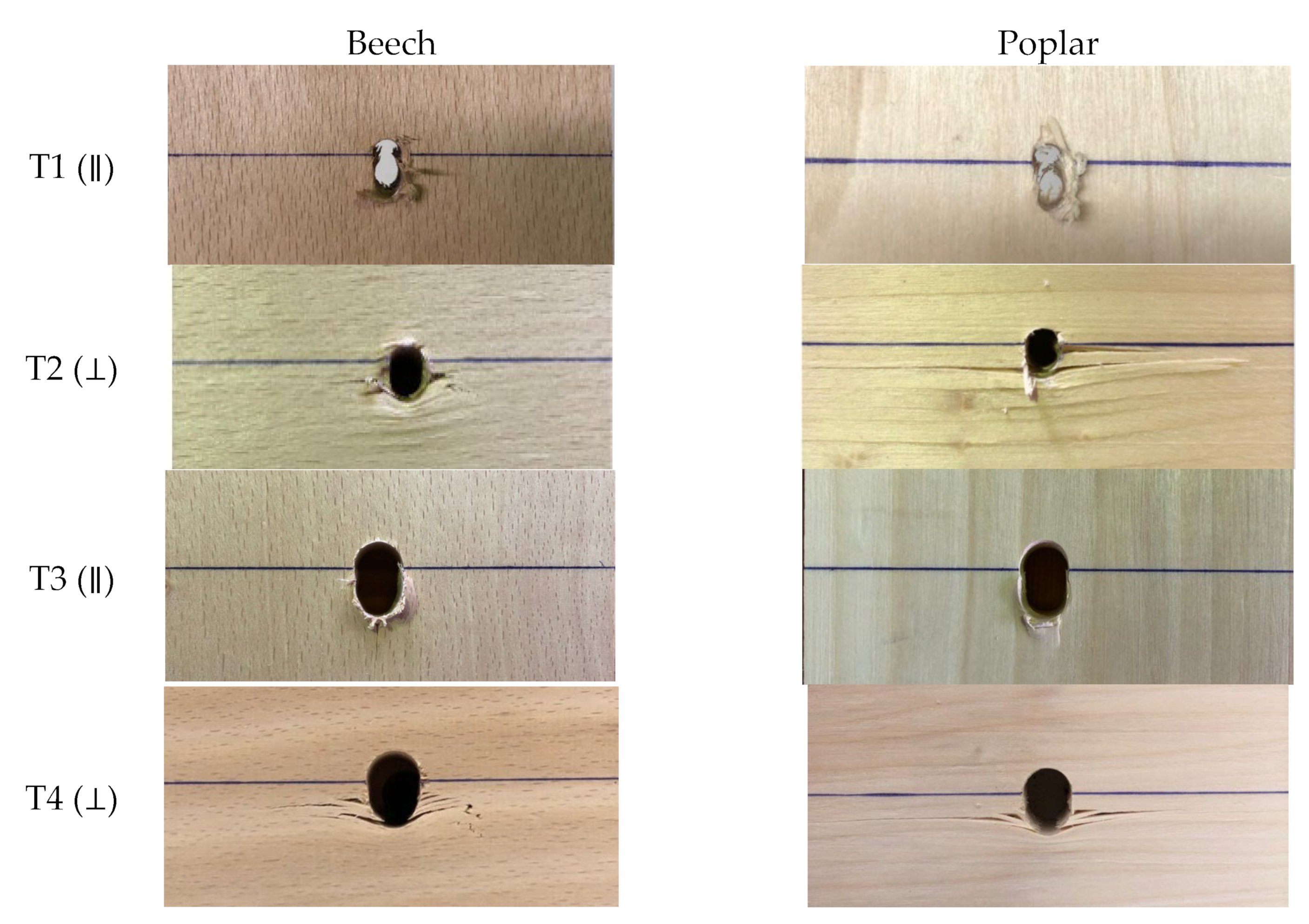 Forests 13 01154 g010