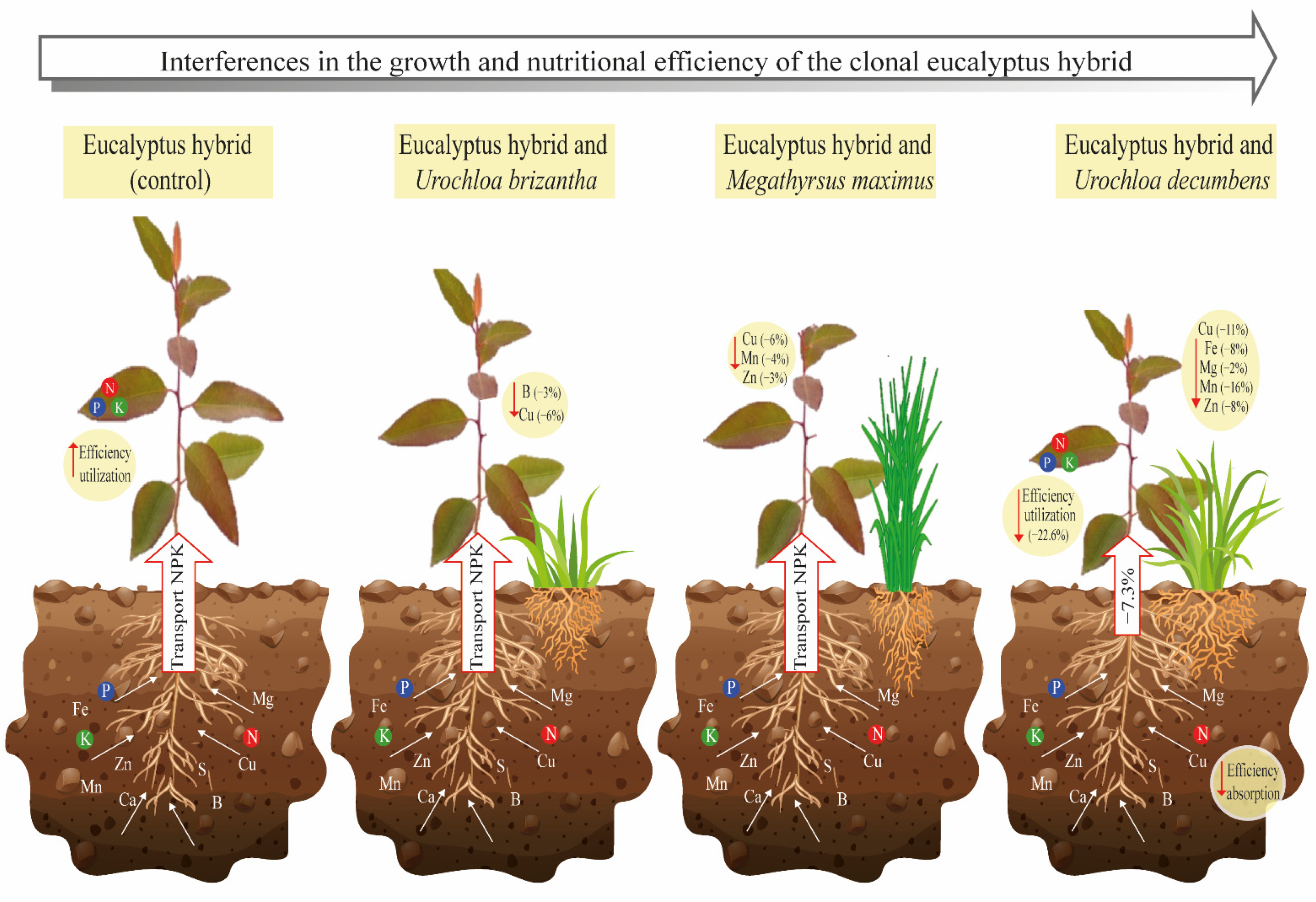 Forests 13 01157 g003 Forests 13 01157 g003