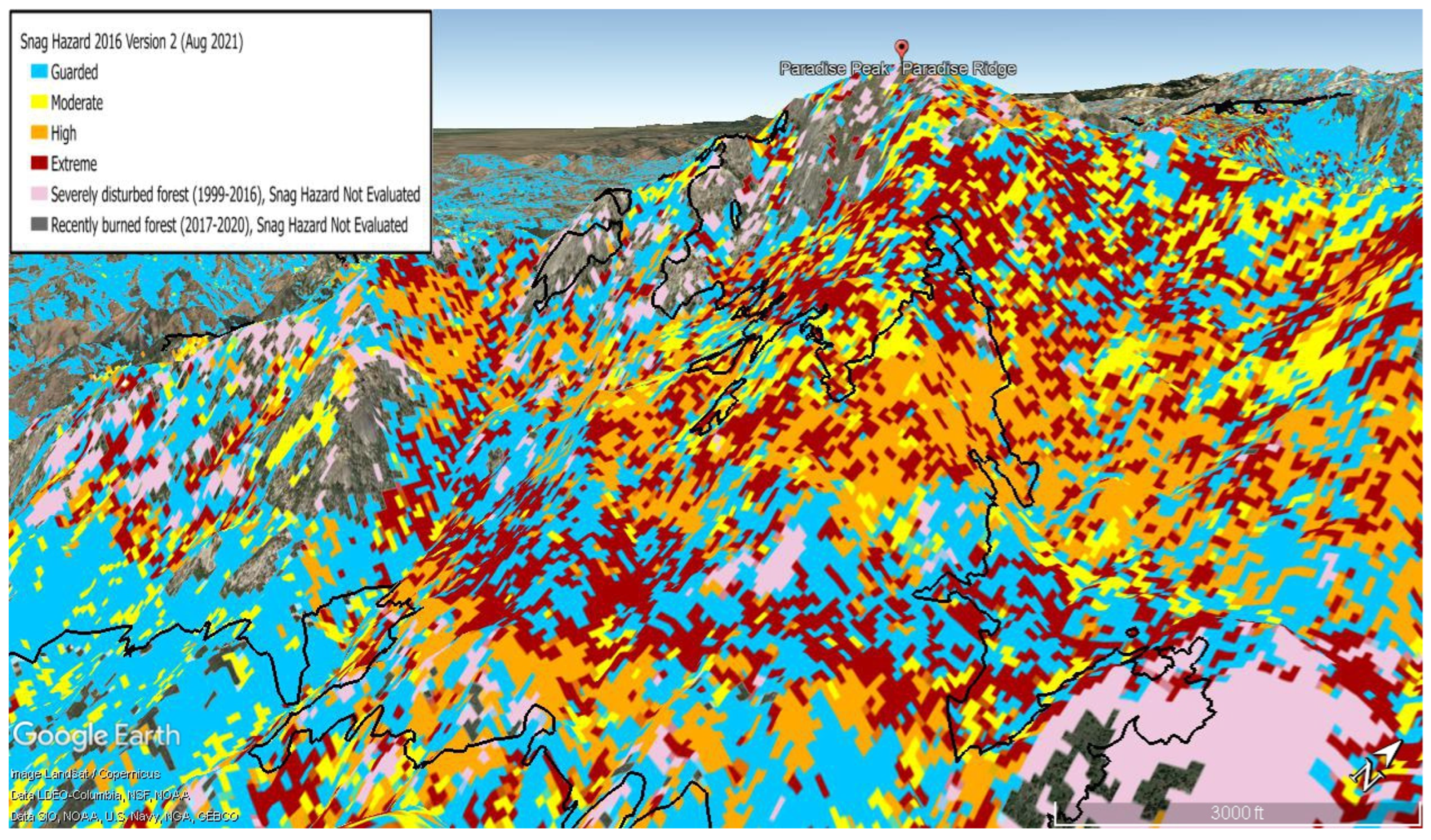 Forests 13 01160 g007