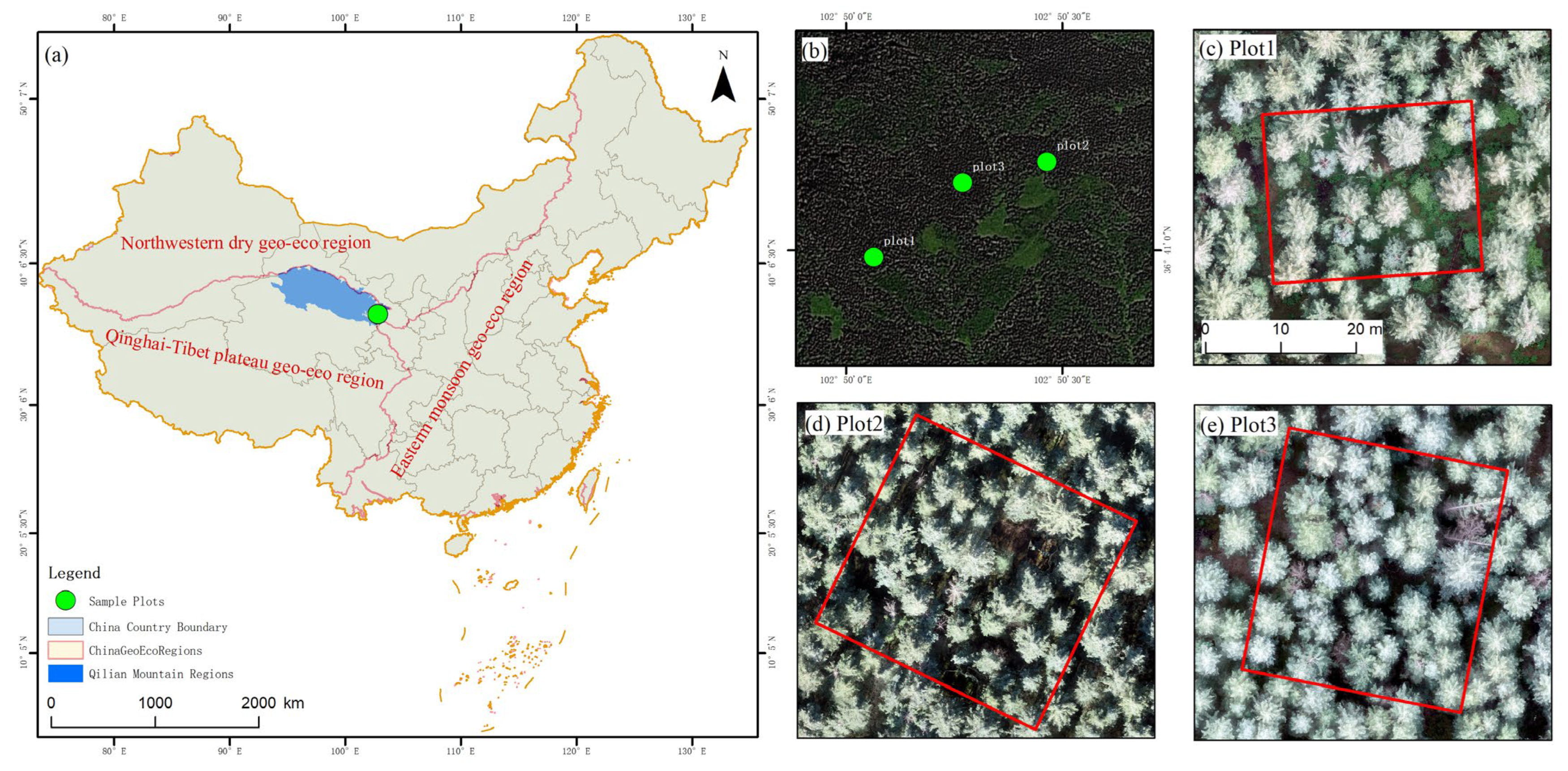 Forests 13 01163 g001