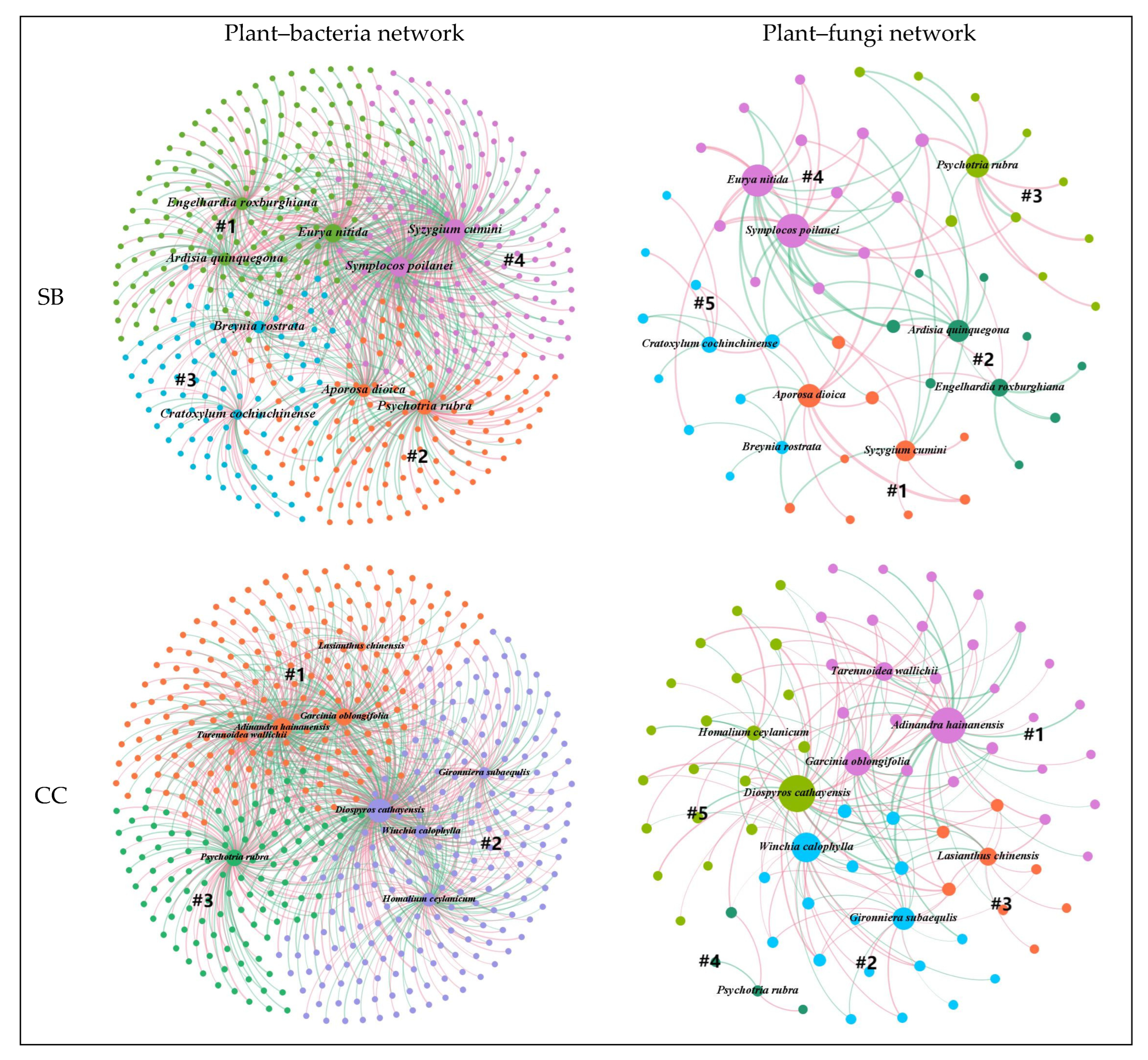 Forests 13 01167 g001a