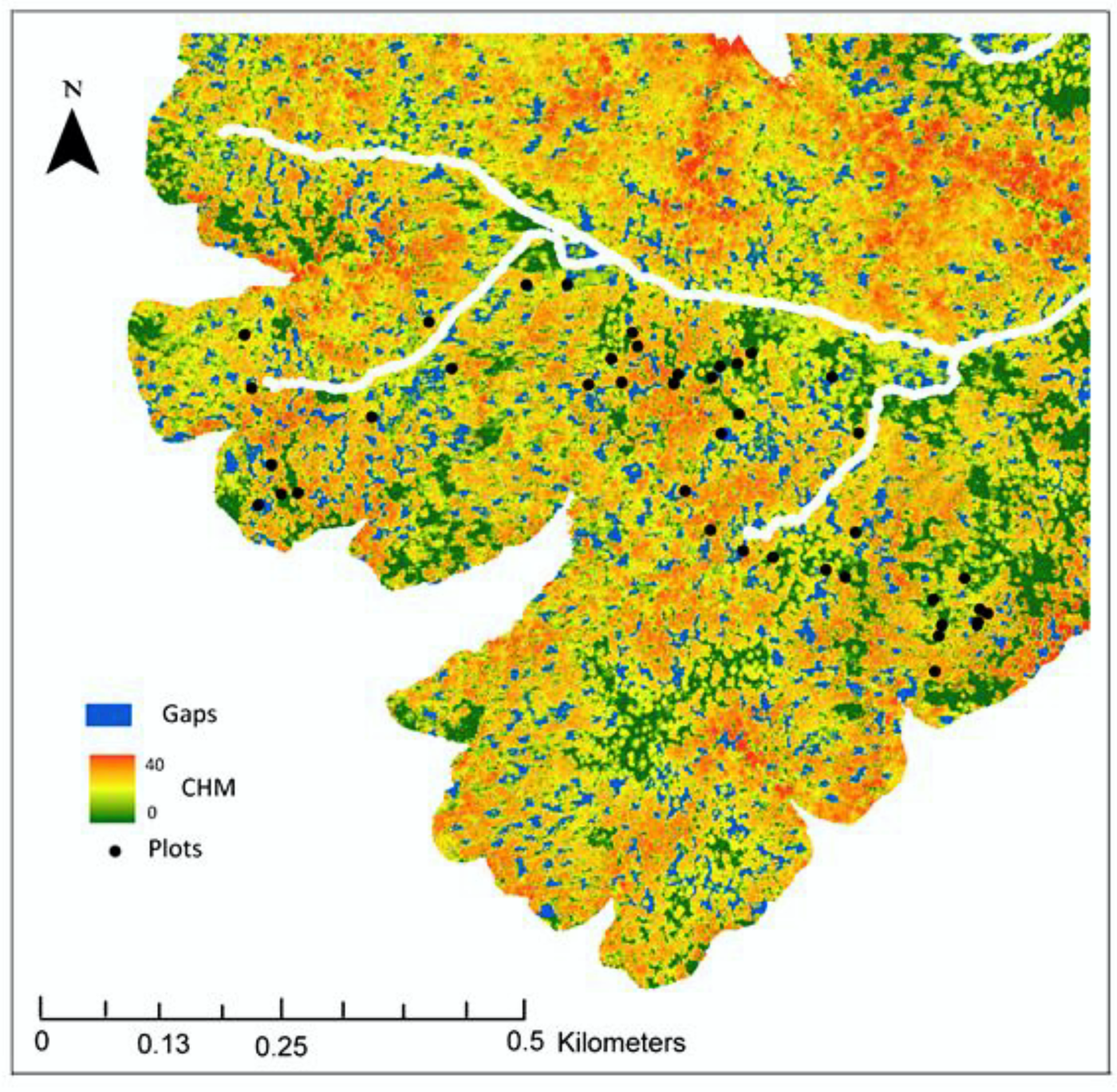 Forests 13 01169 g005