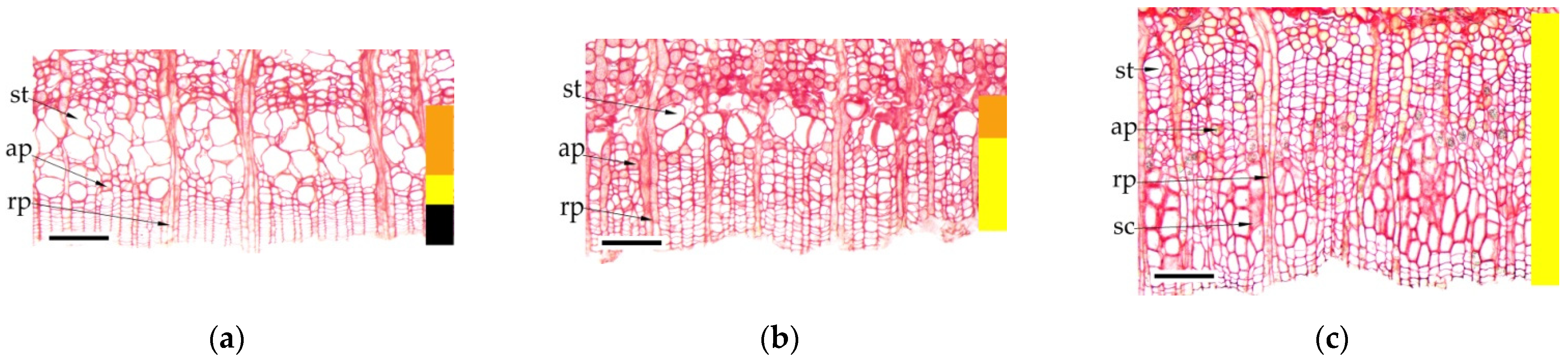 Forests 13 01171 g002a
