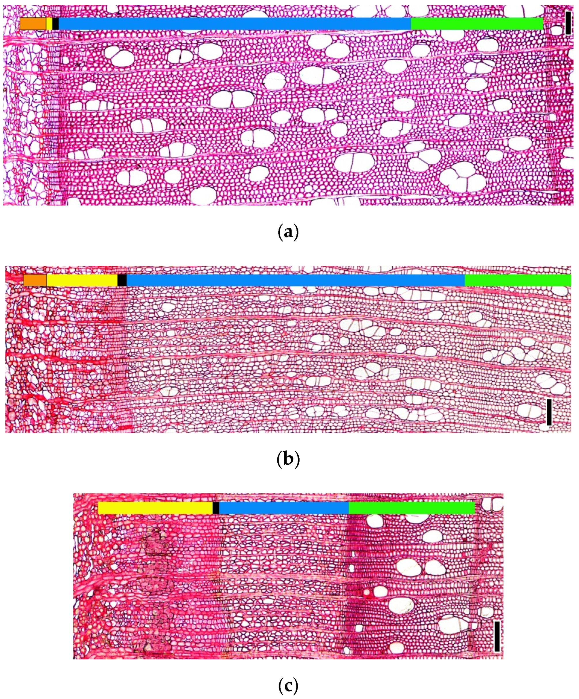 Forests 13 01171 g004