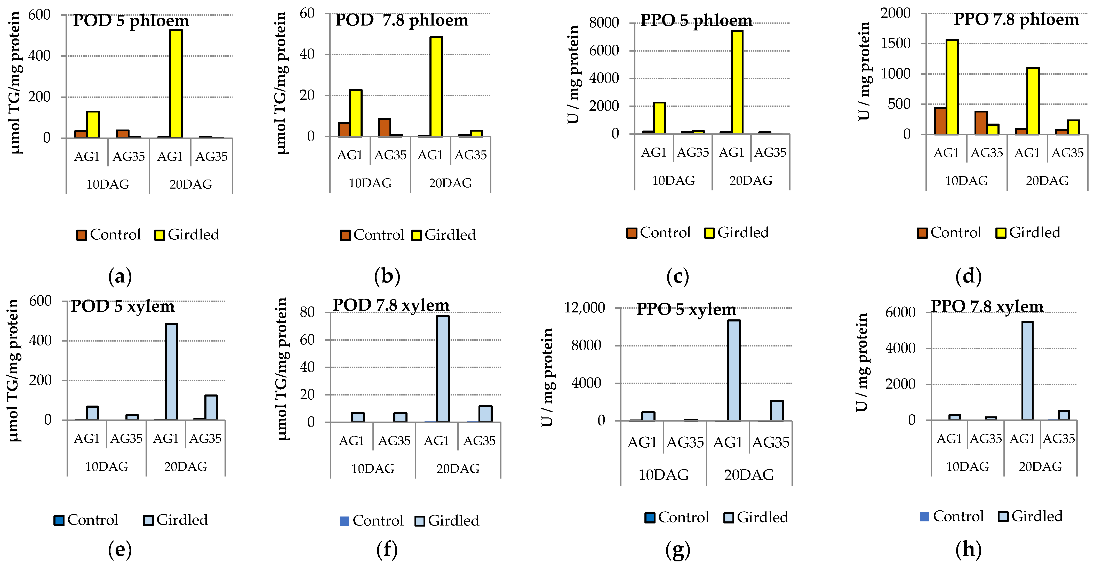 Forests 13 01171 g008
