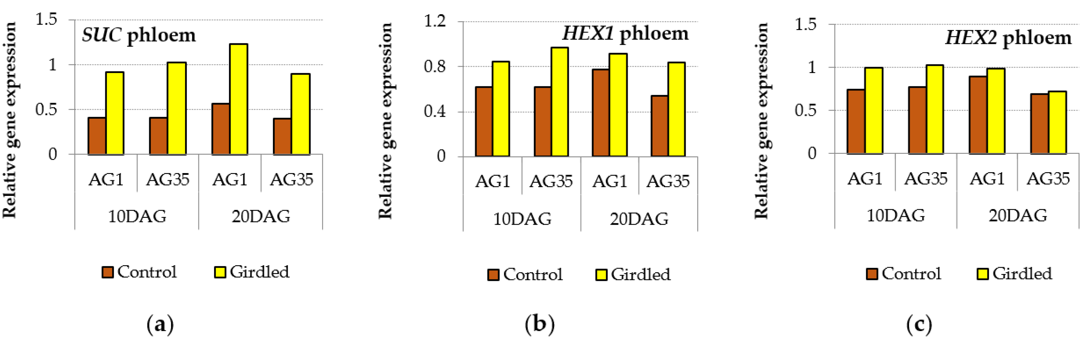 Forests 13 01171 g010