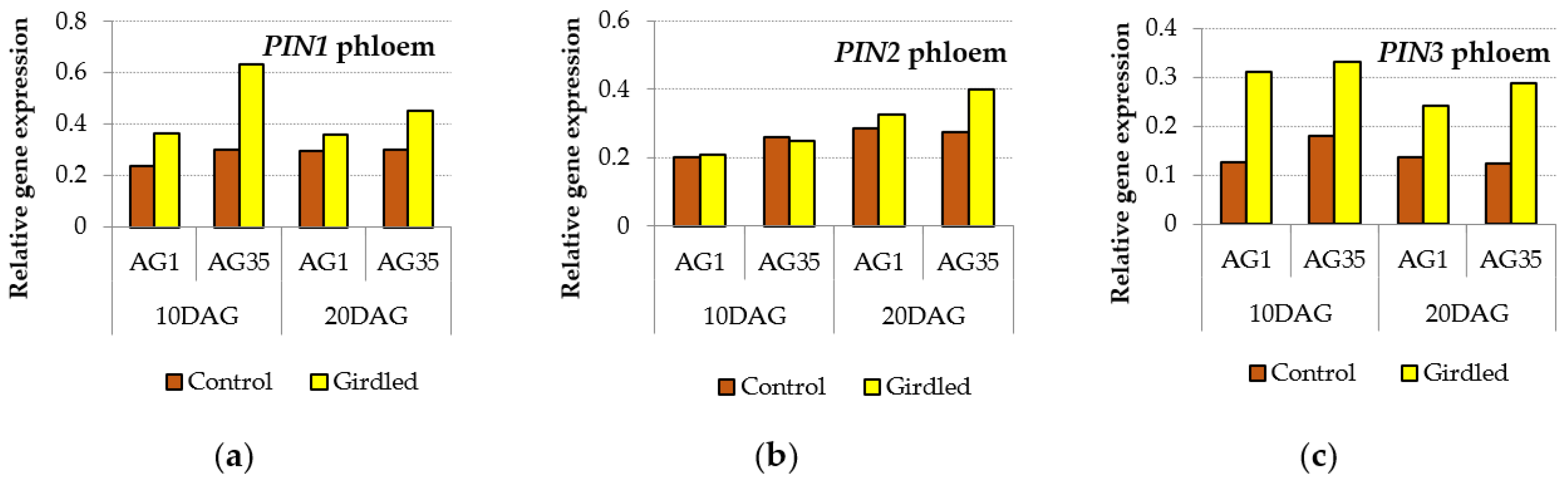 Forests 13 01171 g011