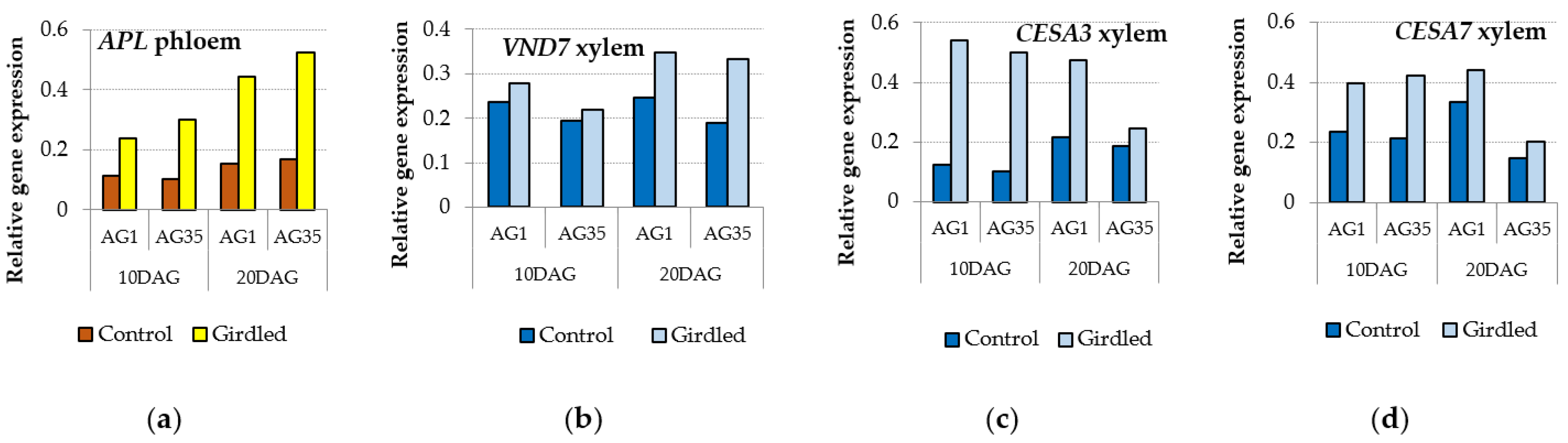 Forests 13 01171 g013