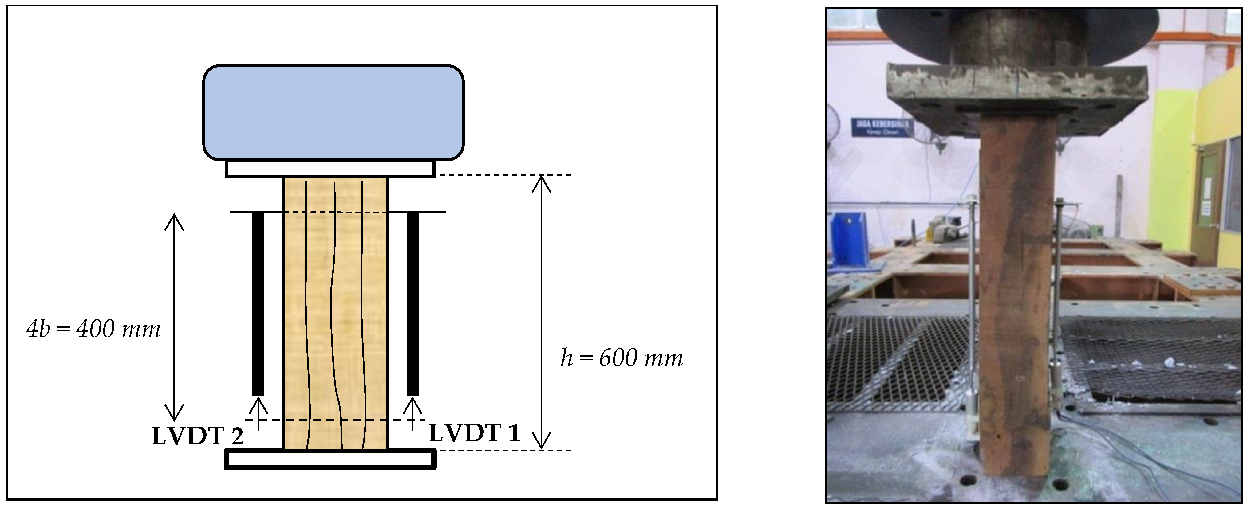 Forests 13 01172 g002