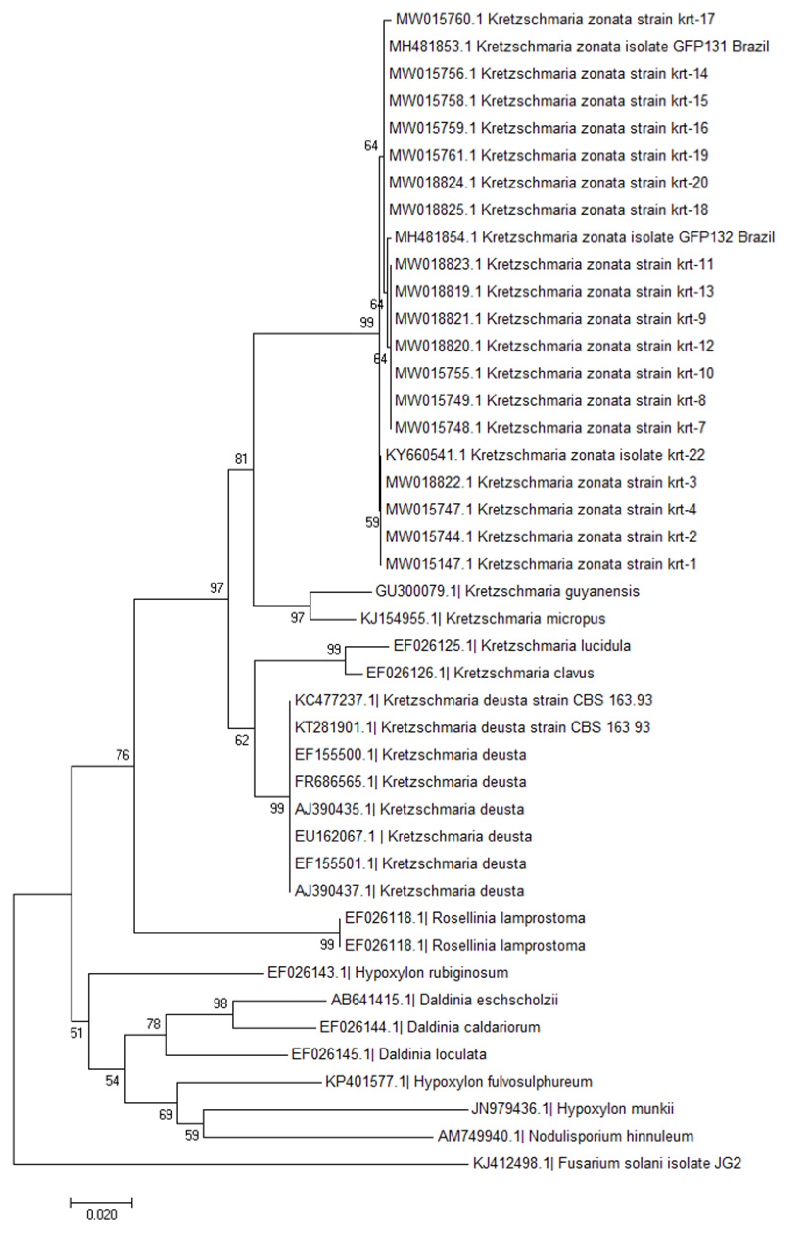 Forests 13 01175 g003