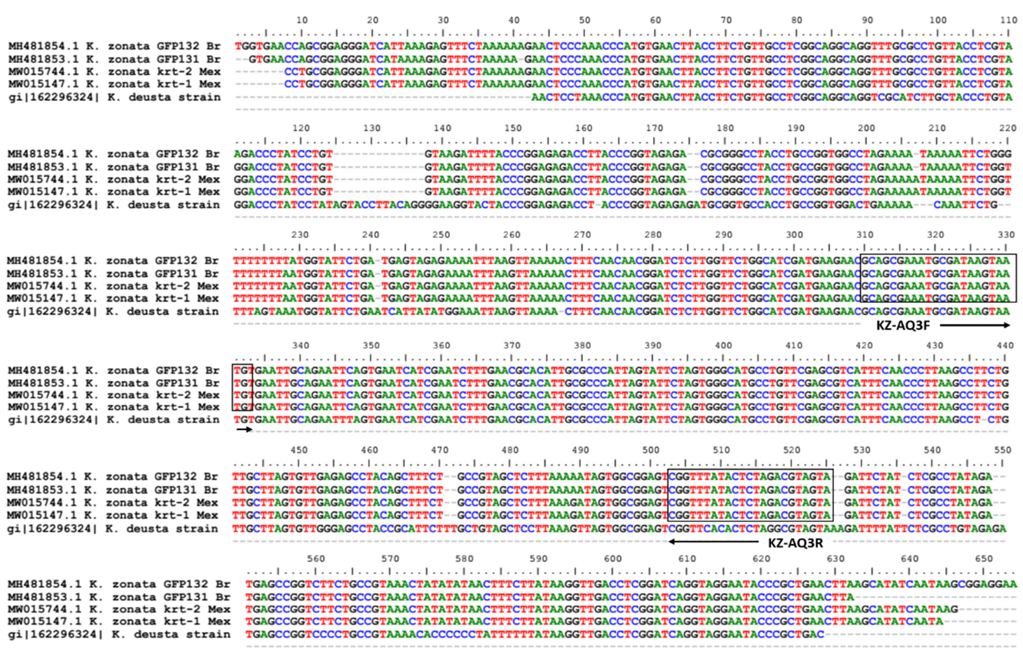 Forests 13 01175 g004