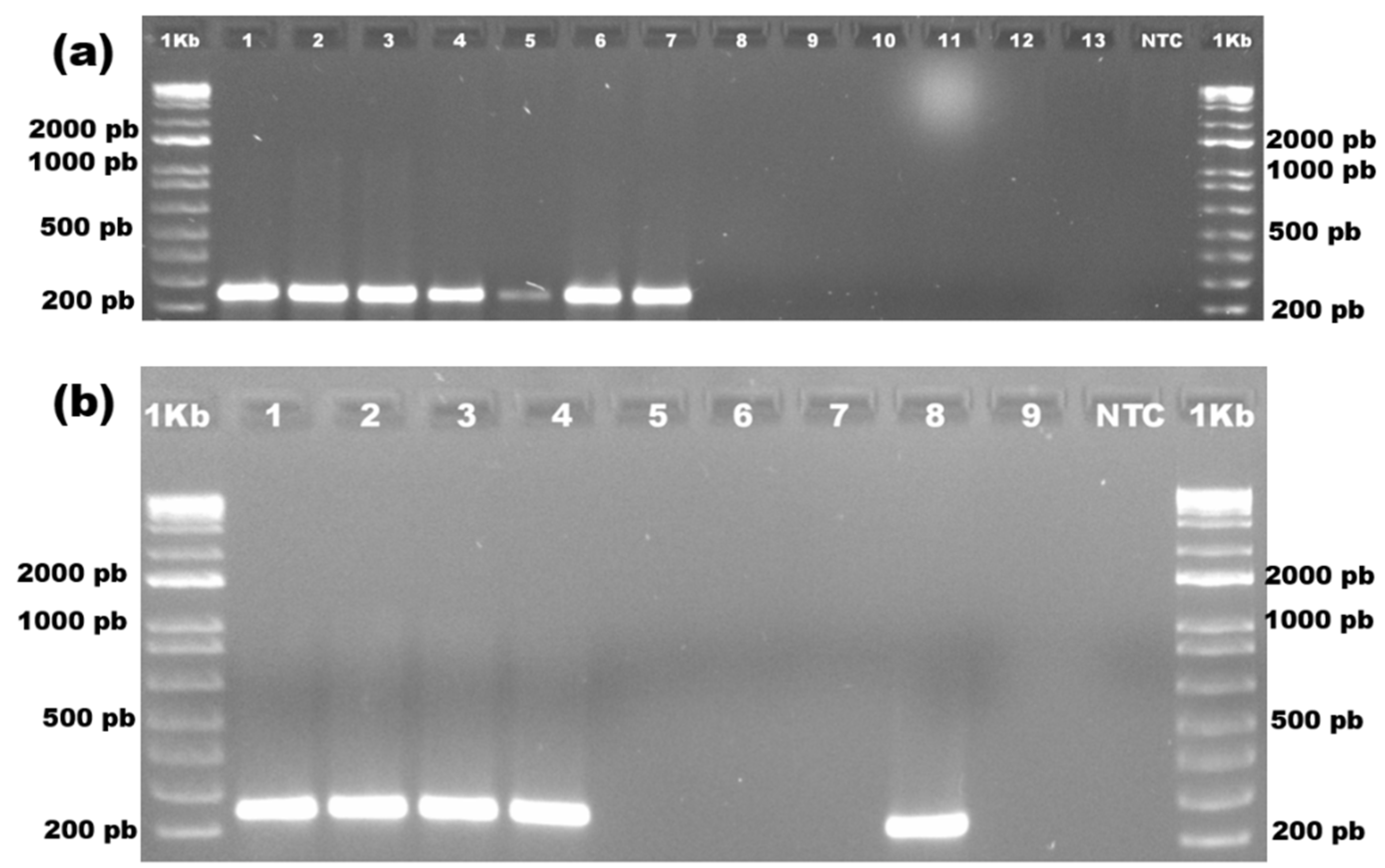 Forests 13 01175 g005