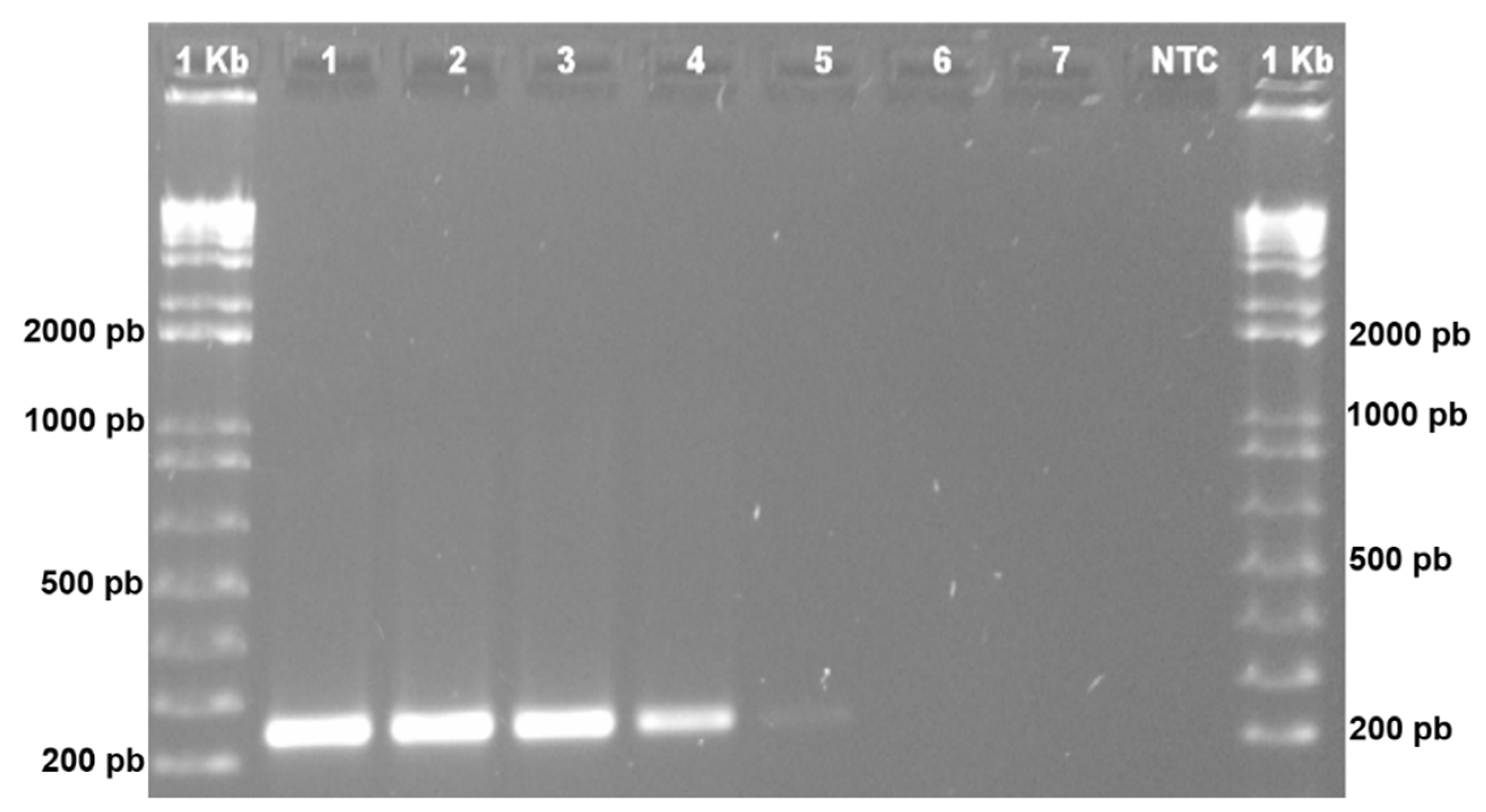 Forests 13 01175 g006