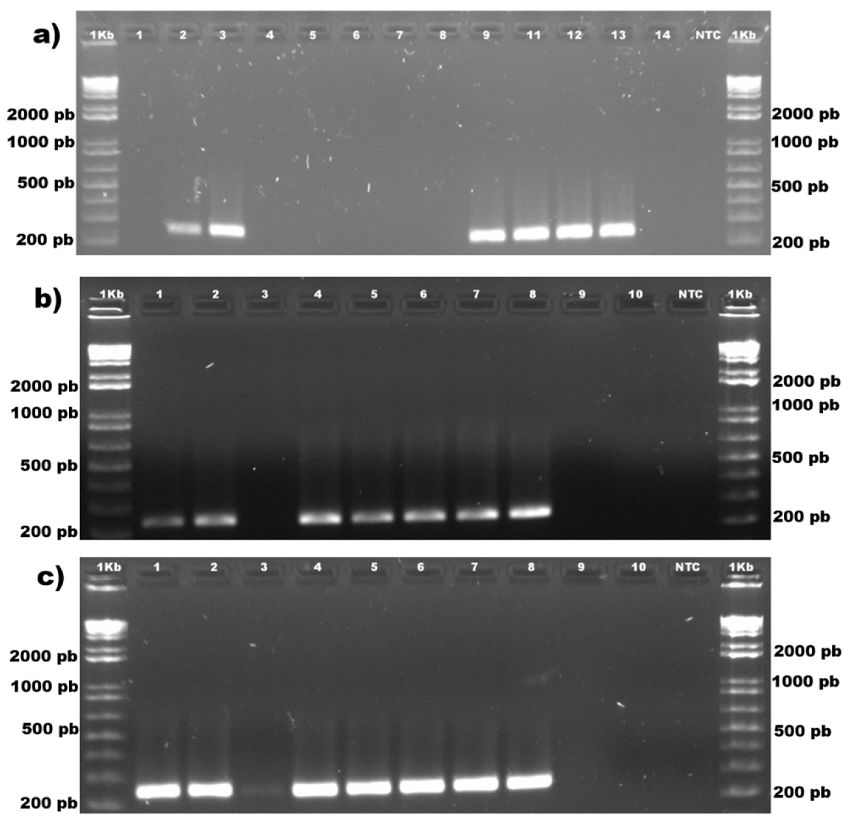Forests 13 01175 g007