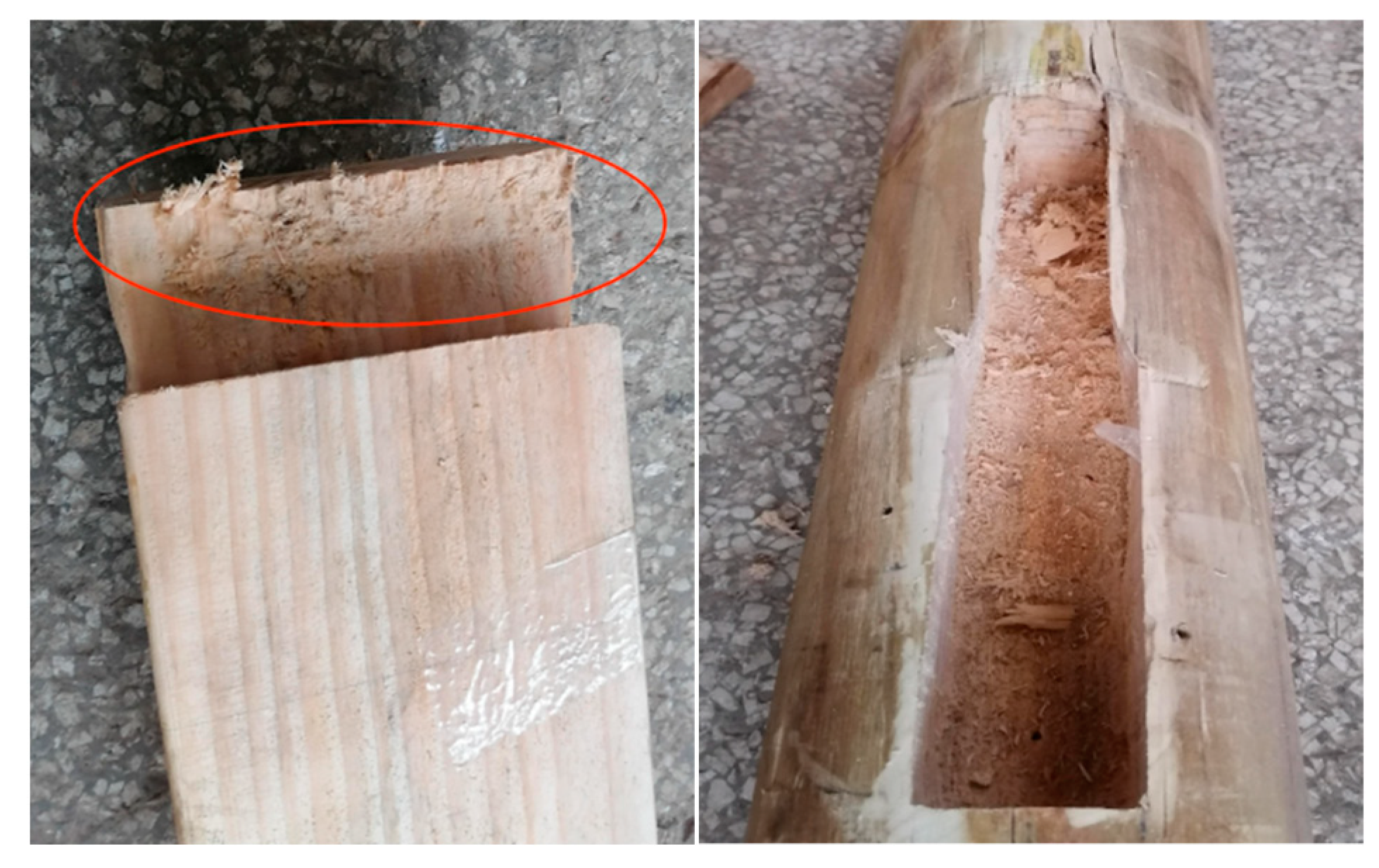 Forests 13 01177 g009