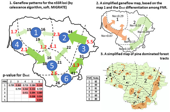 Forests 13 01179 g002