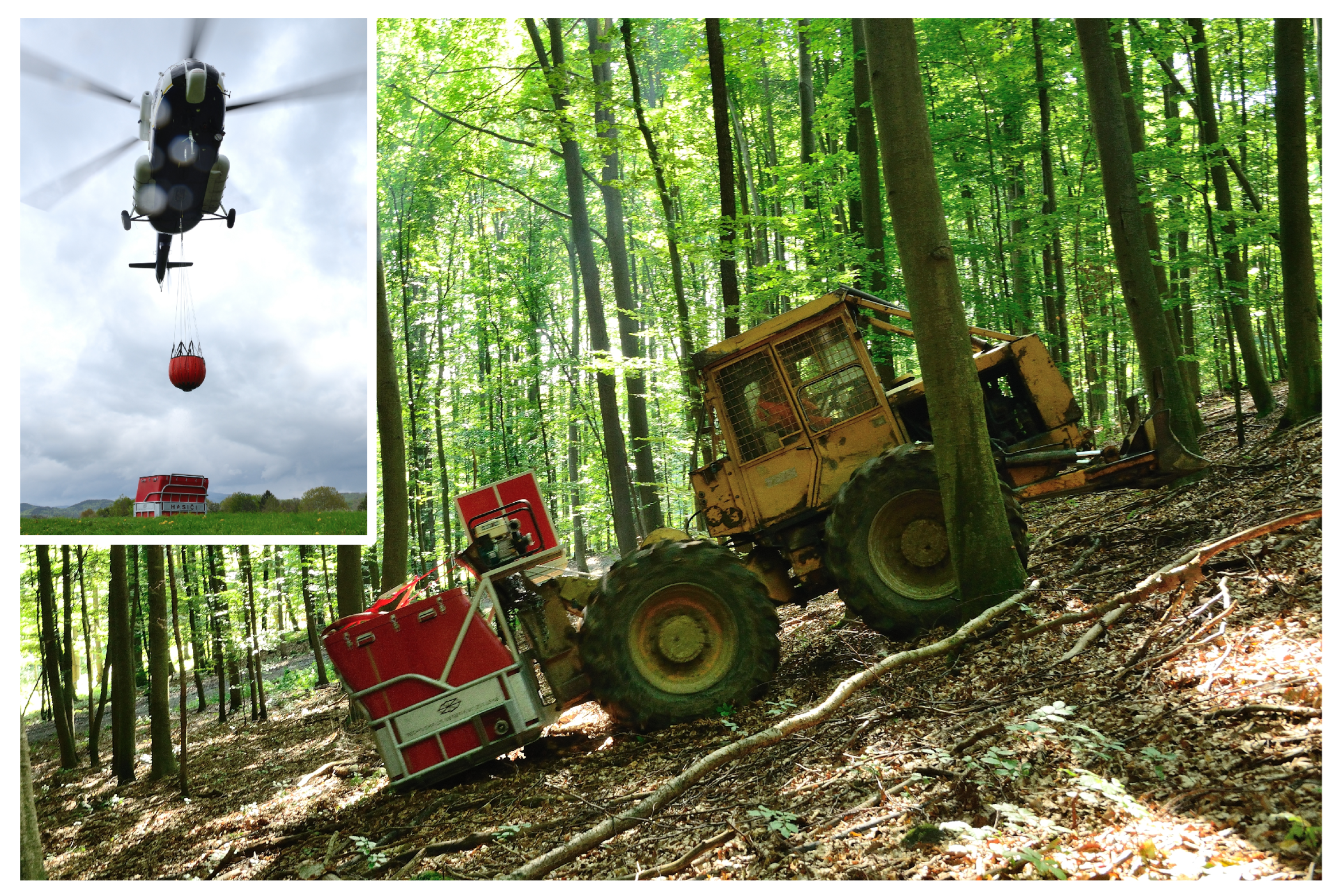 Forests 13 01180 g001