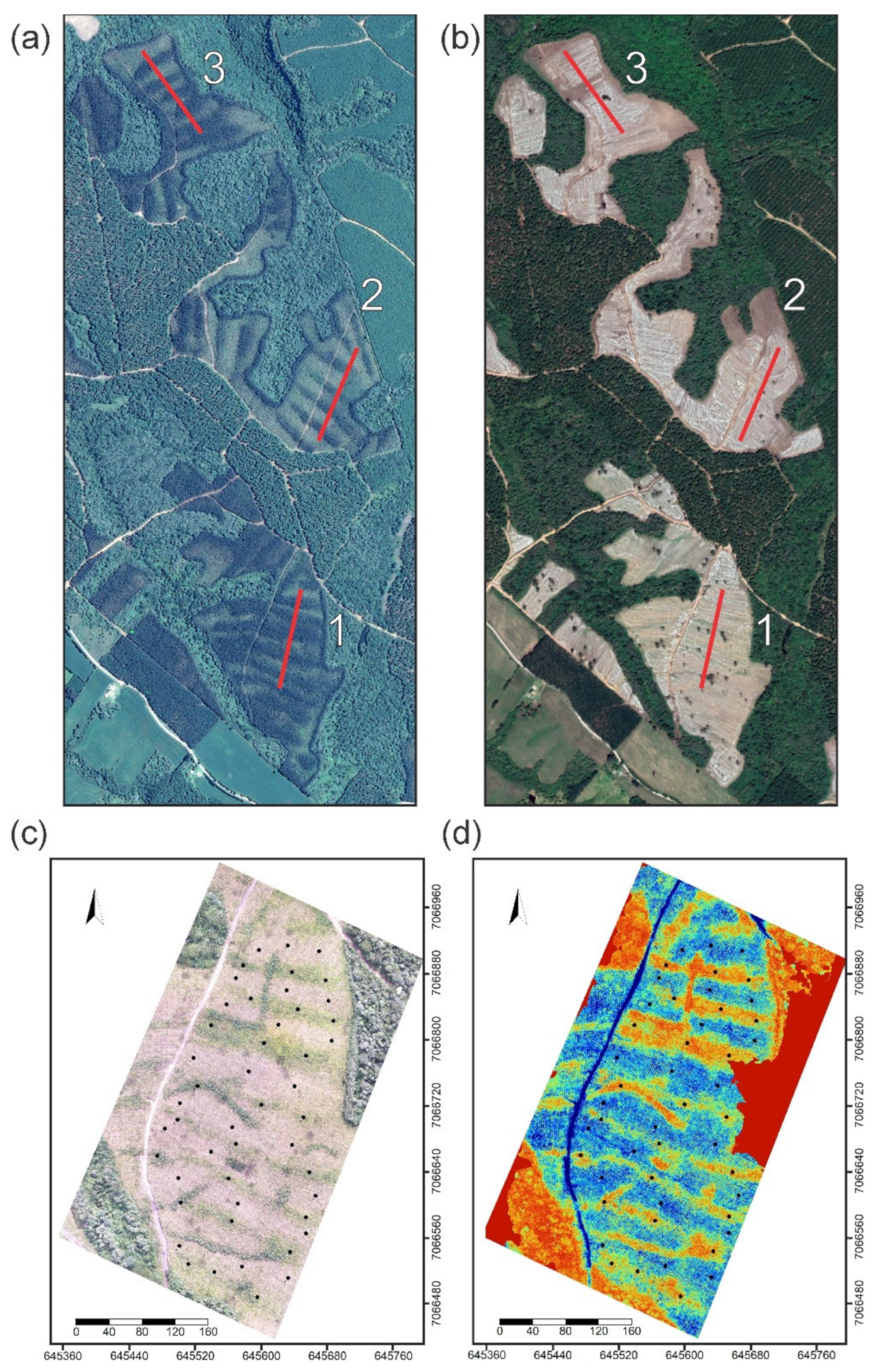 Forests 13 01183 g001