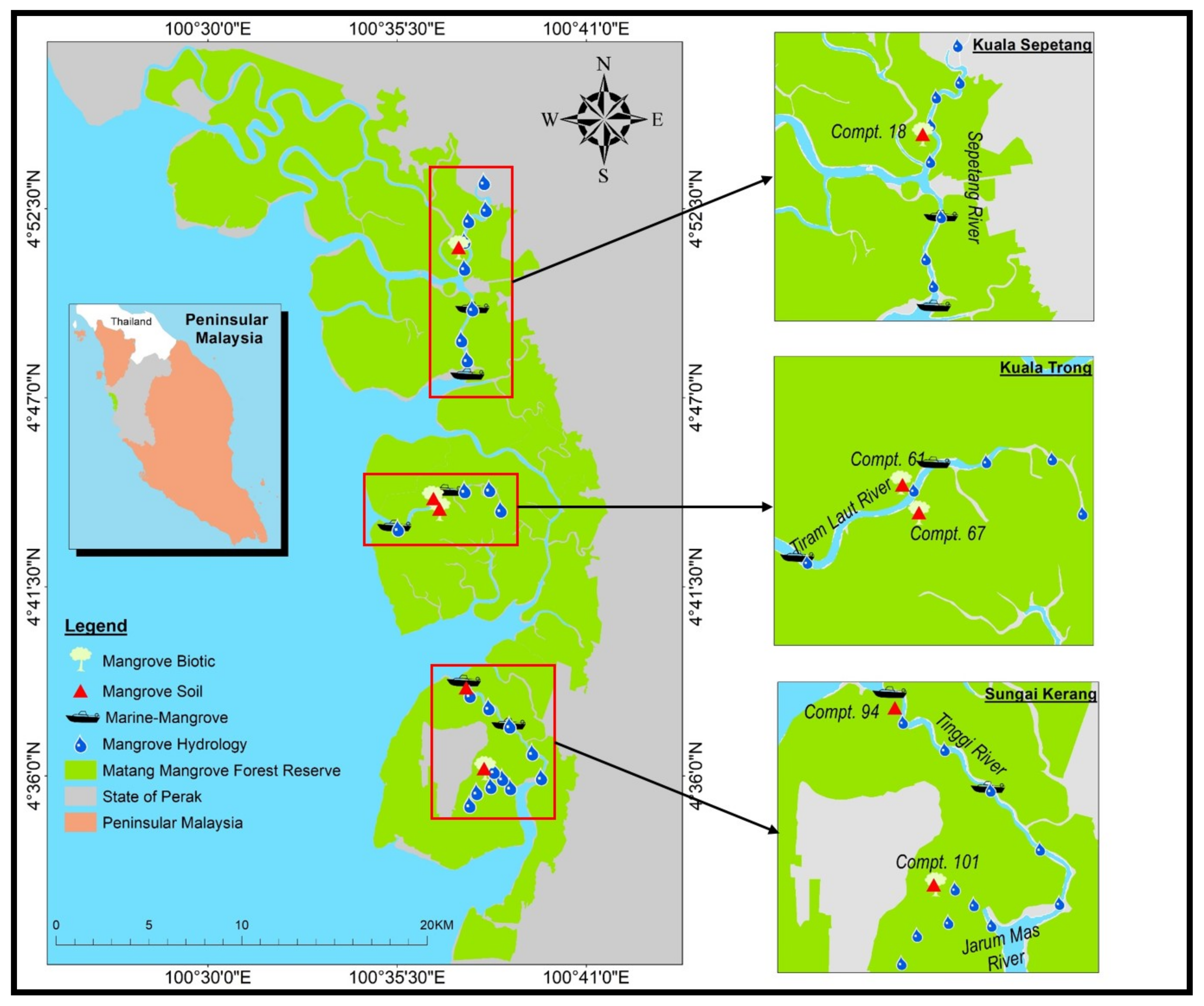 Forests 13 01185 g001