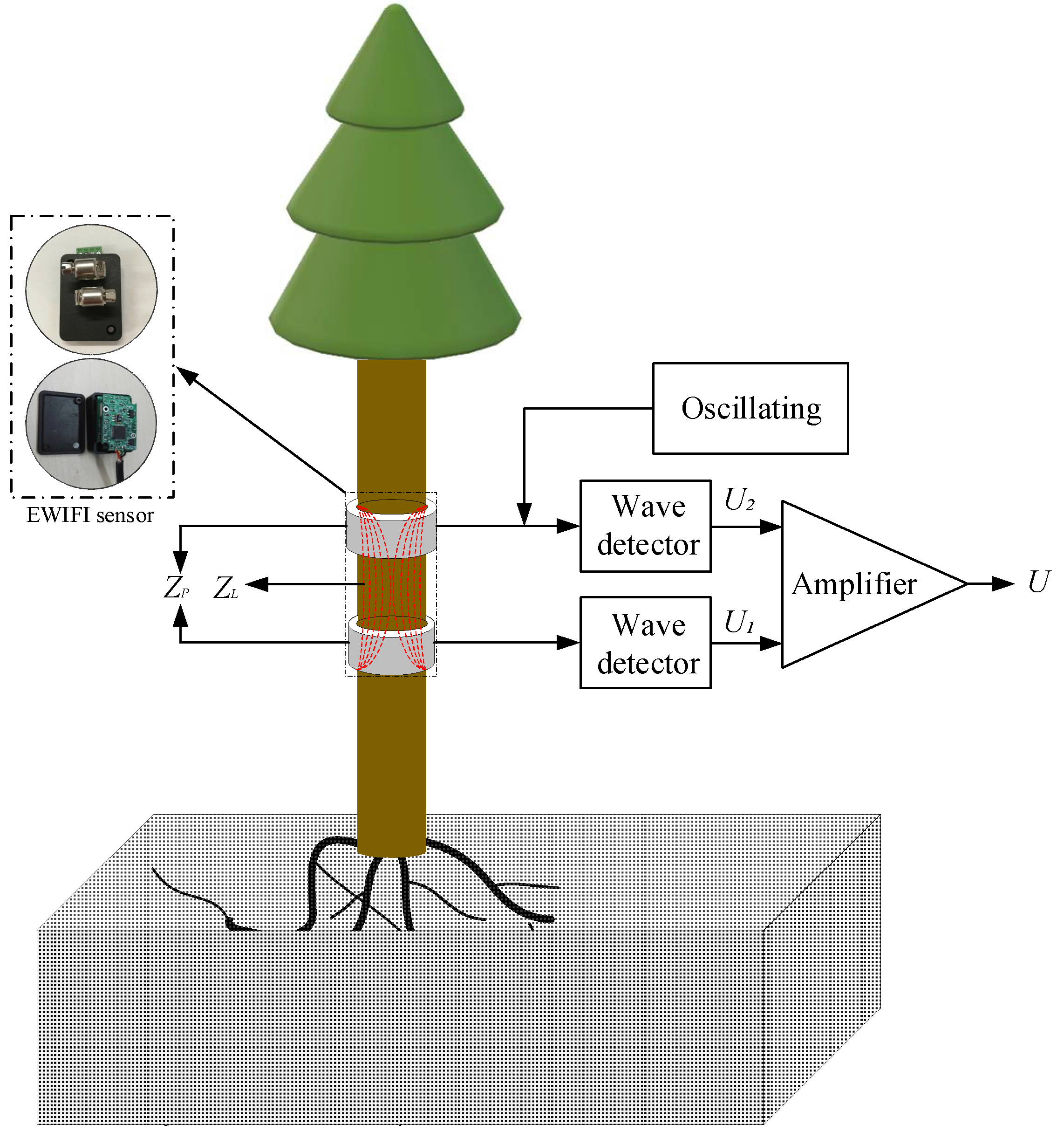 Forests 13 01198 g001
