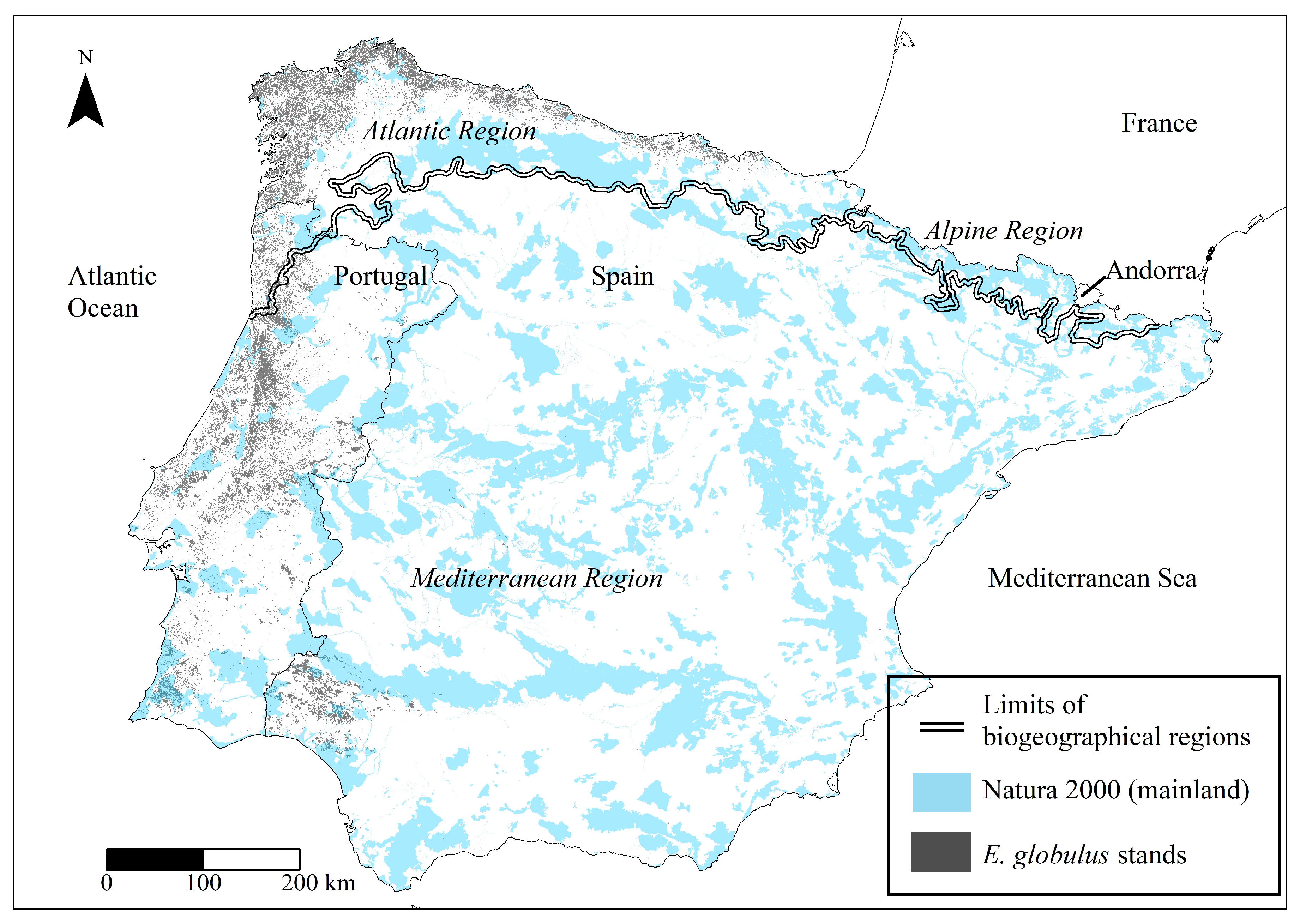 Forests 13 01199 g001