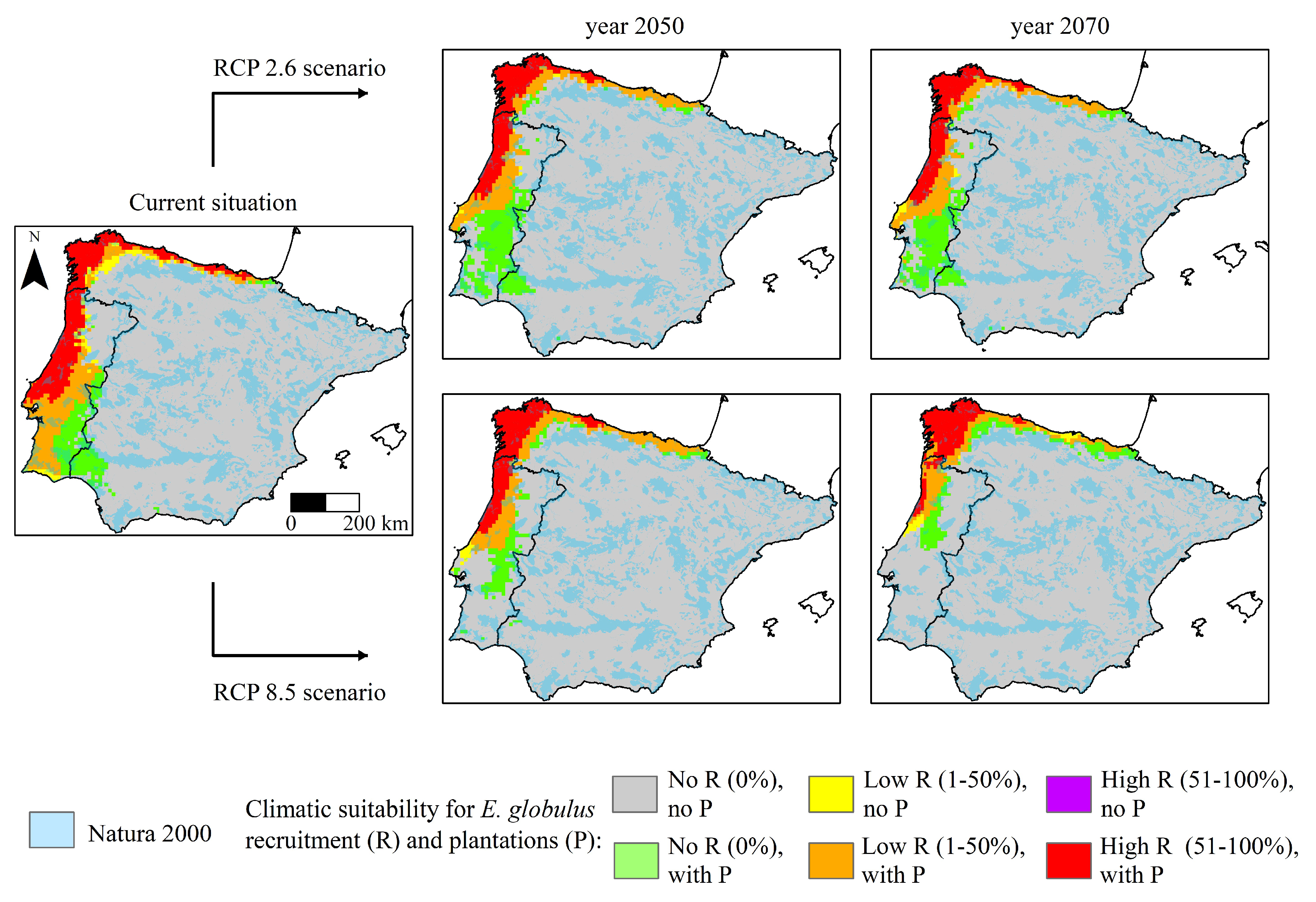 Forests 13 01199 g003
